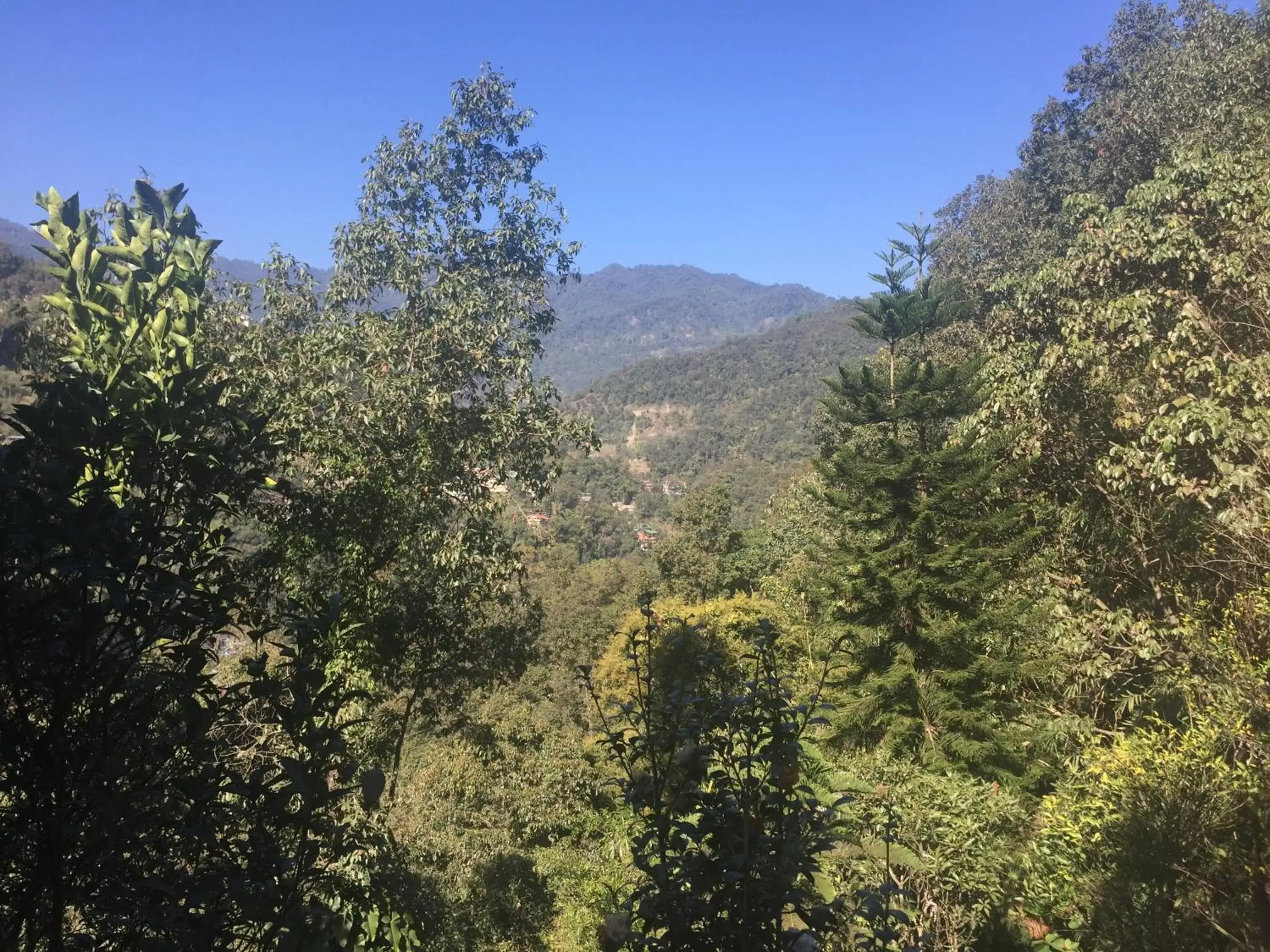 Mountain view in Sterling Gangtok Orange Village