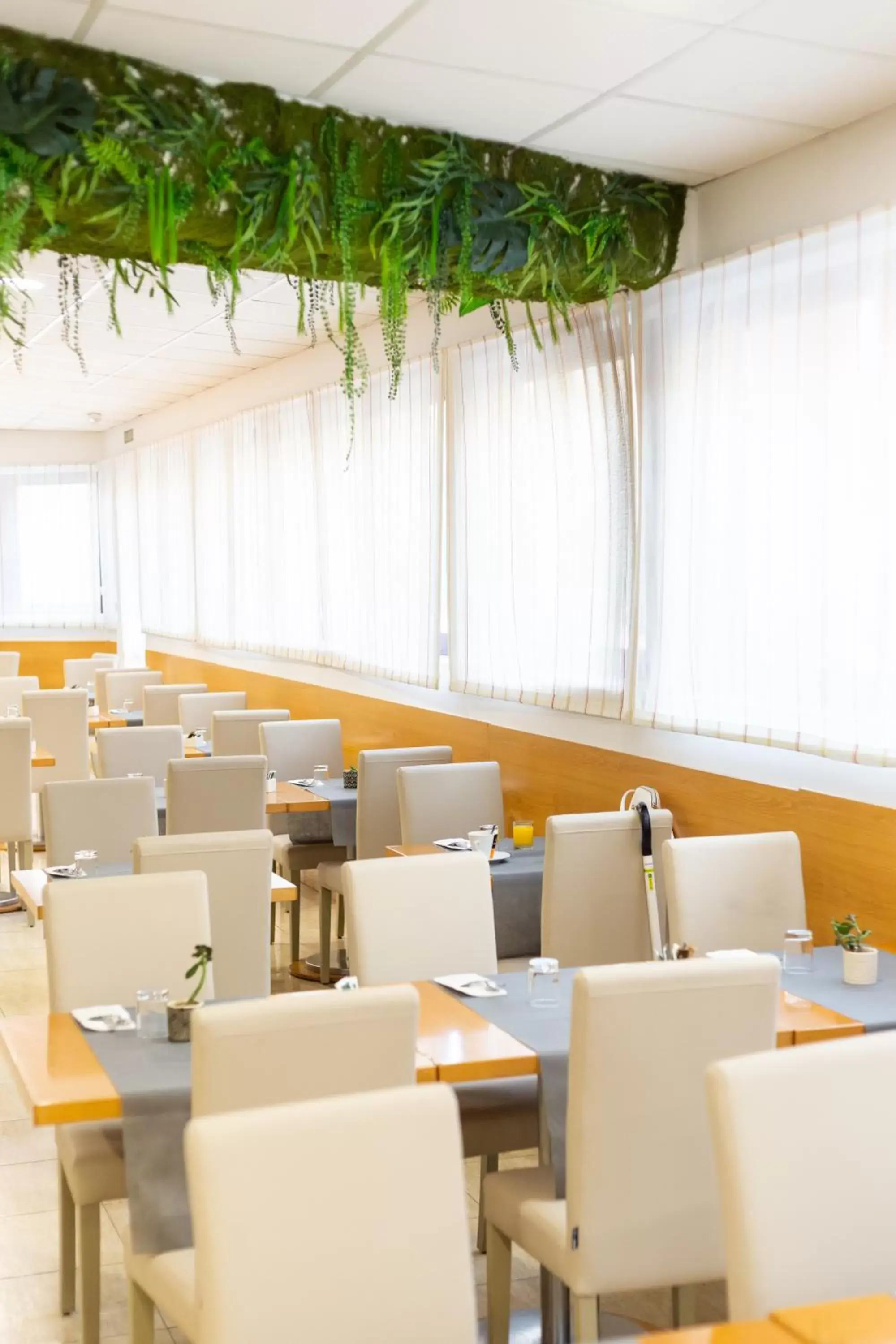 Breakfast in Daniya Denia Spa & Business 4* Breakfast in Daniya Denia Spa & Business 4*
