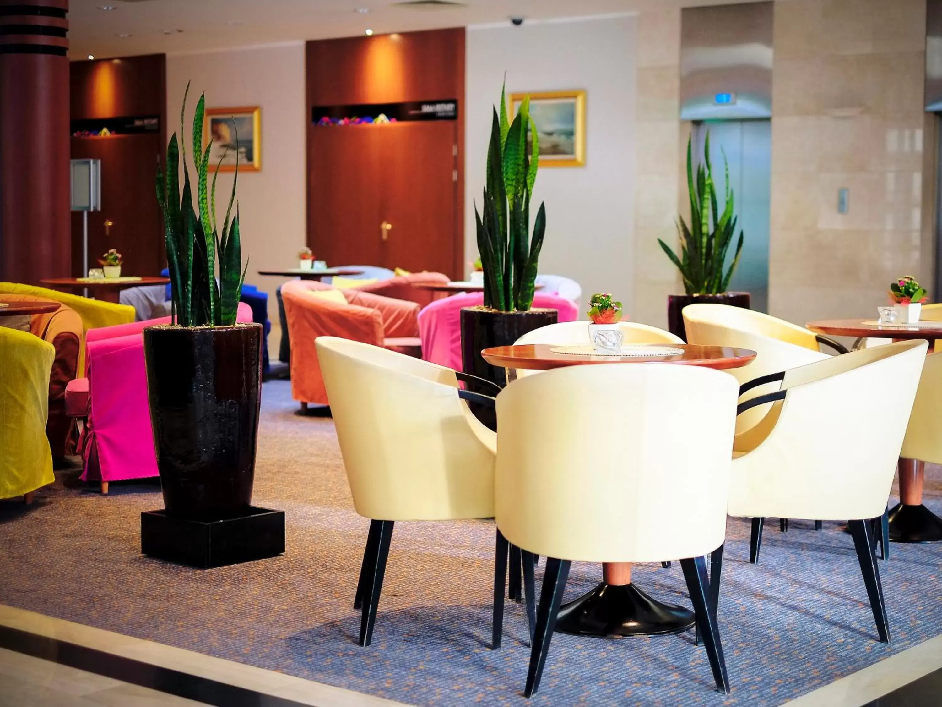 Lobby or reception, Lounge/Bar in Hotel Nadmorski
