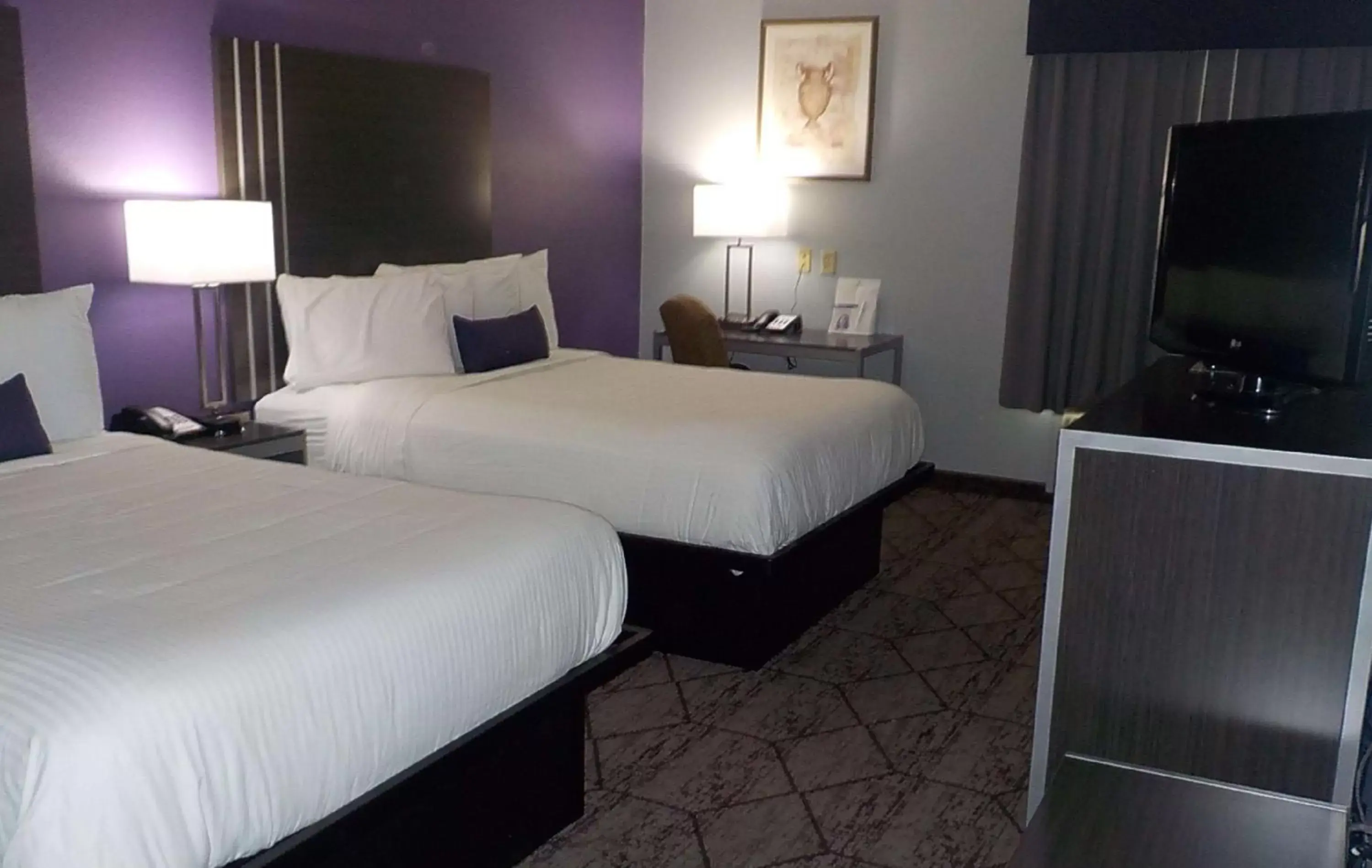 Photo of the whole room, Bed in SureStay Plus Hotel by Best Western Warner Robins AFB