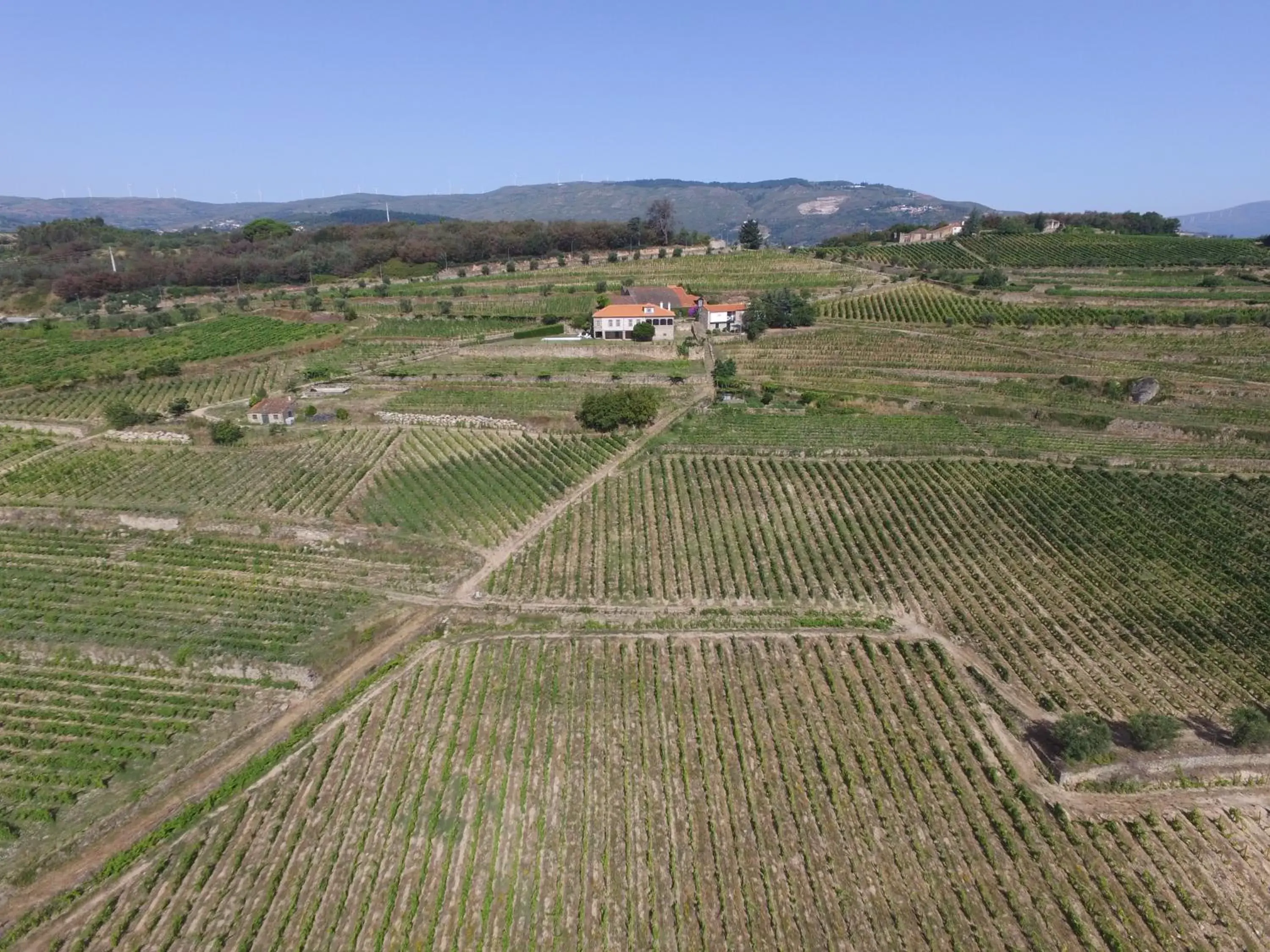 Bird's-eye View in Quinta da Portela - Casa Visconde Arneiros