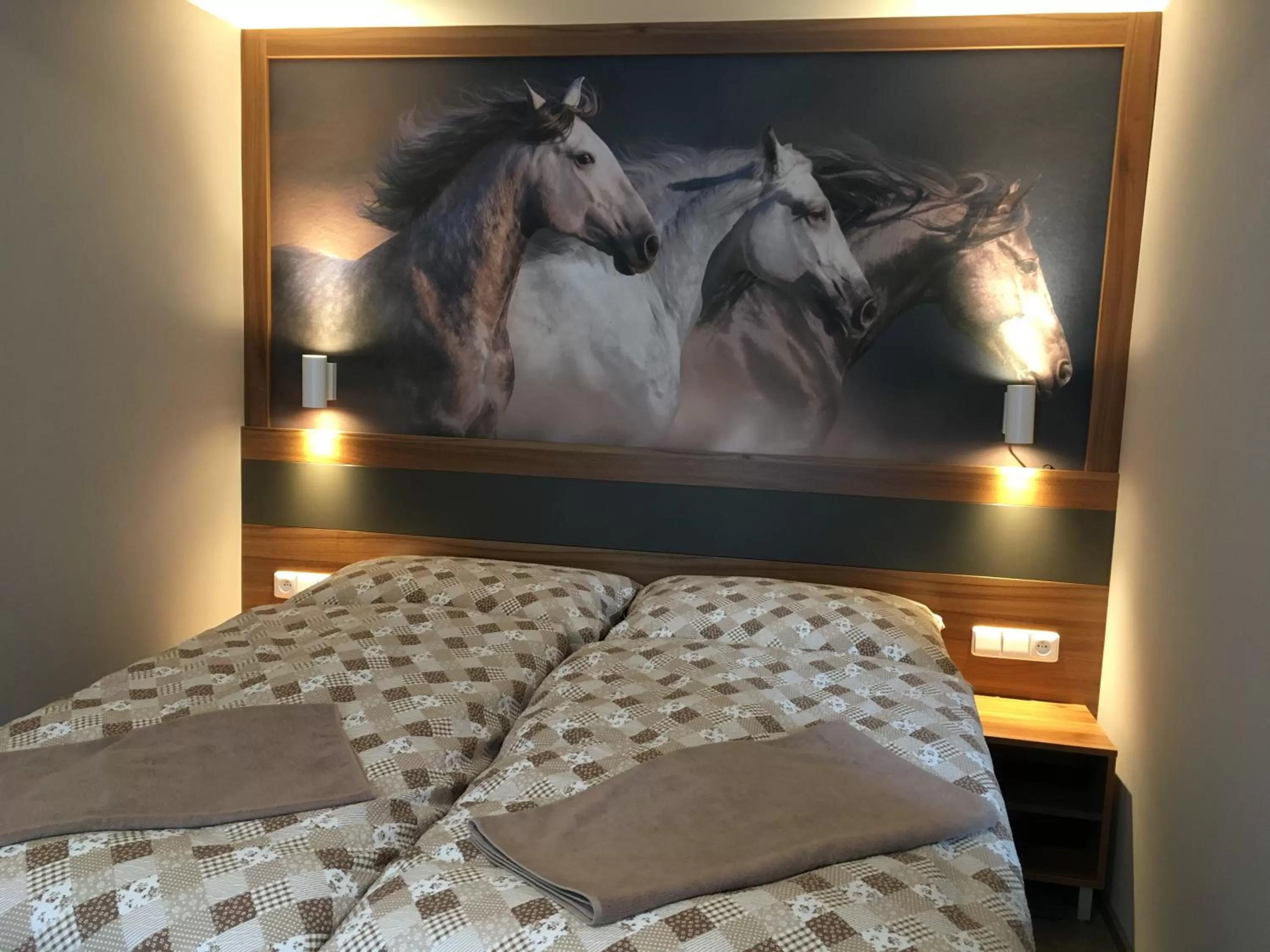 Bedroom, Bed in Hotel U koně