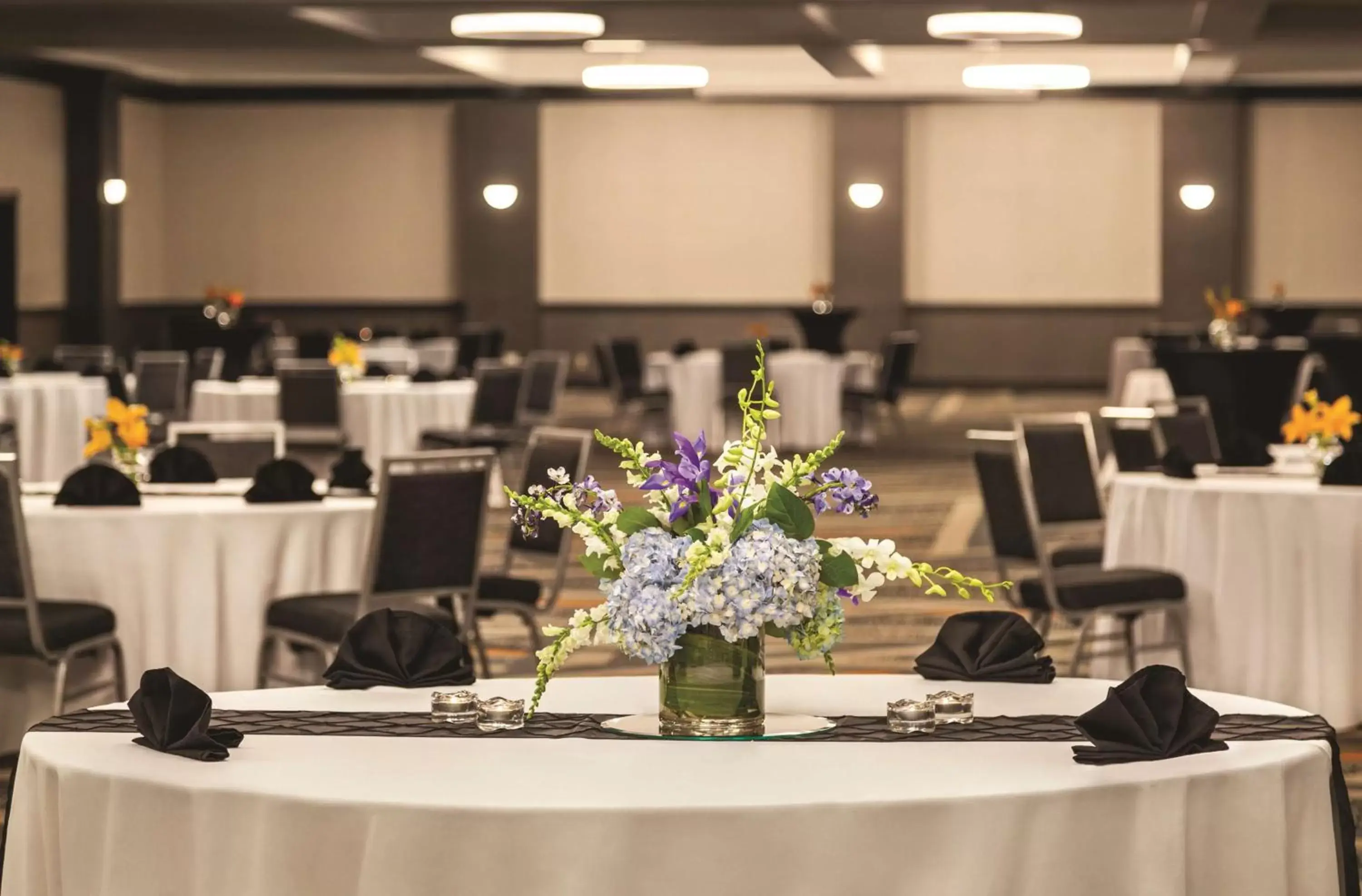 Meeting/conference room, Restaurant/Places to Eat in Hilton Knoxville Airport