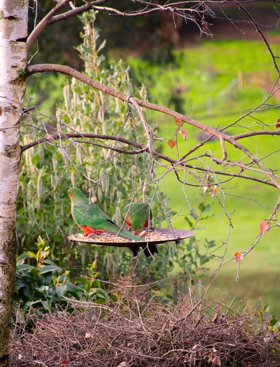 Rosewood Park Guest Suite