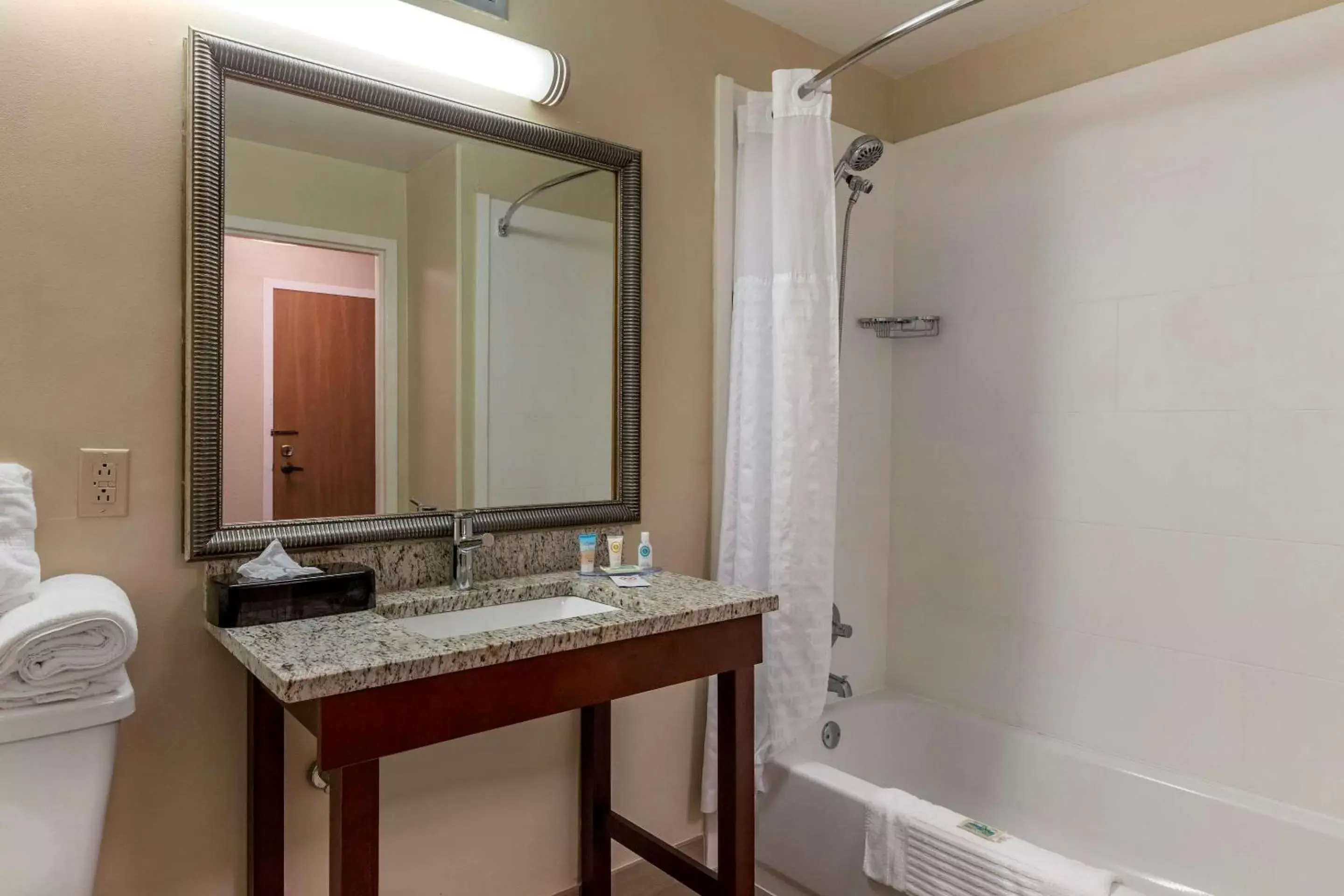 Bathroom in Comfort Inn Laurinburg