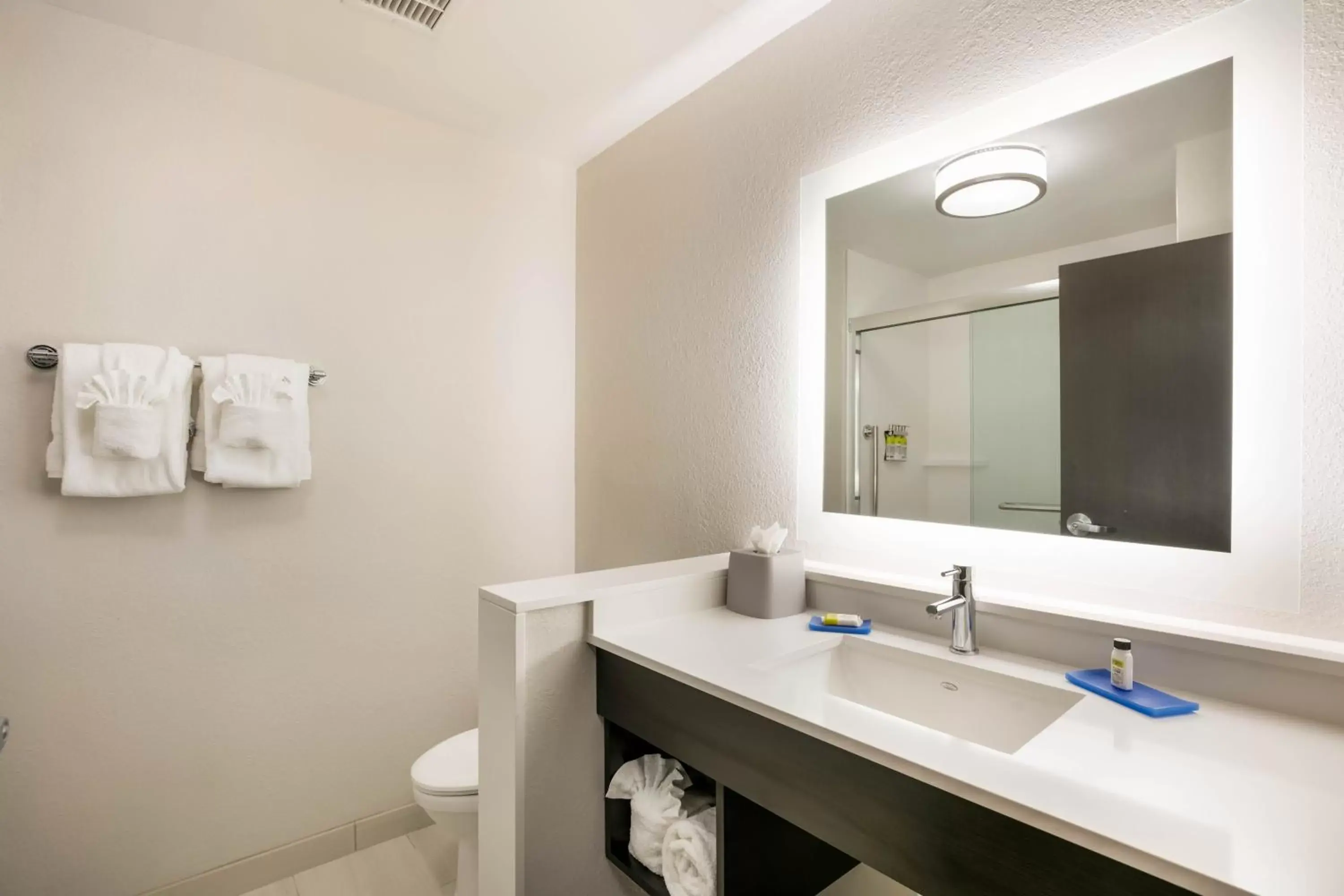 Bathroom in Holiday Inn Express & Suites Jacksonville - Town Center, an IHG Hotel