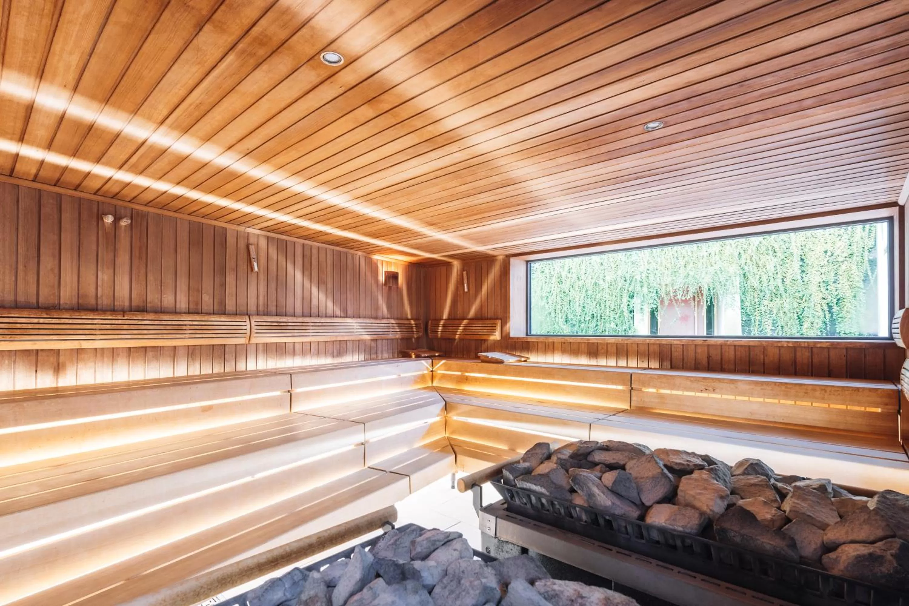 Sauna in feelMOOR - Gesundresort Bad Wurzach
