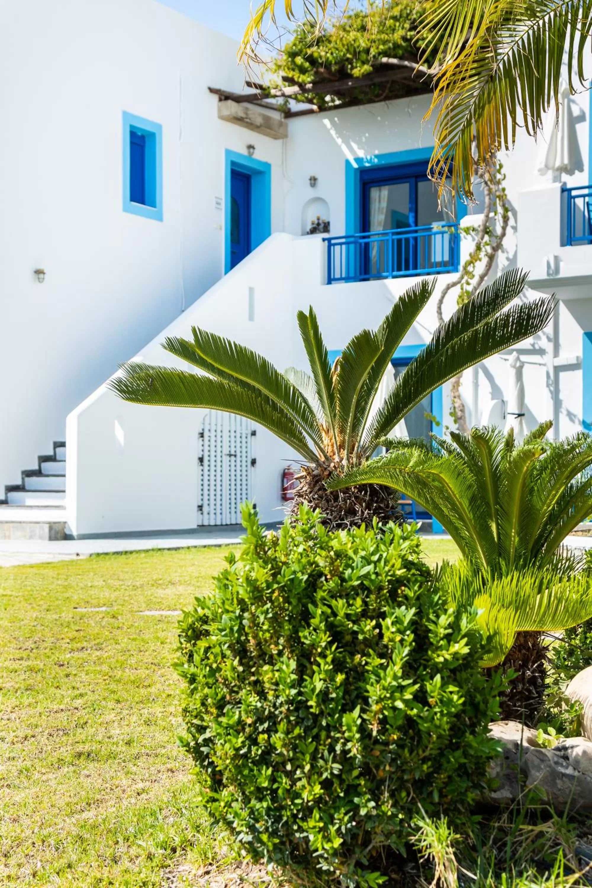 Property building in Bella Vista Stegna