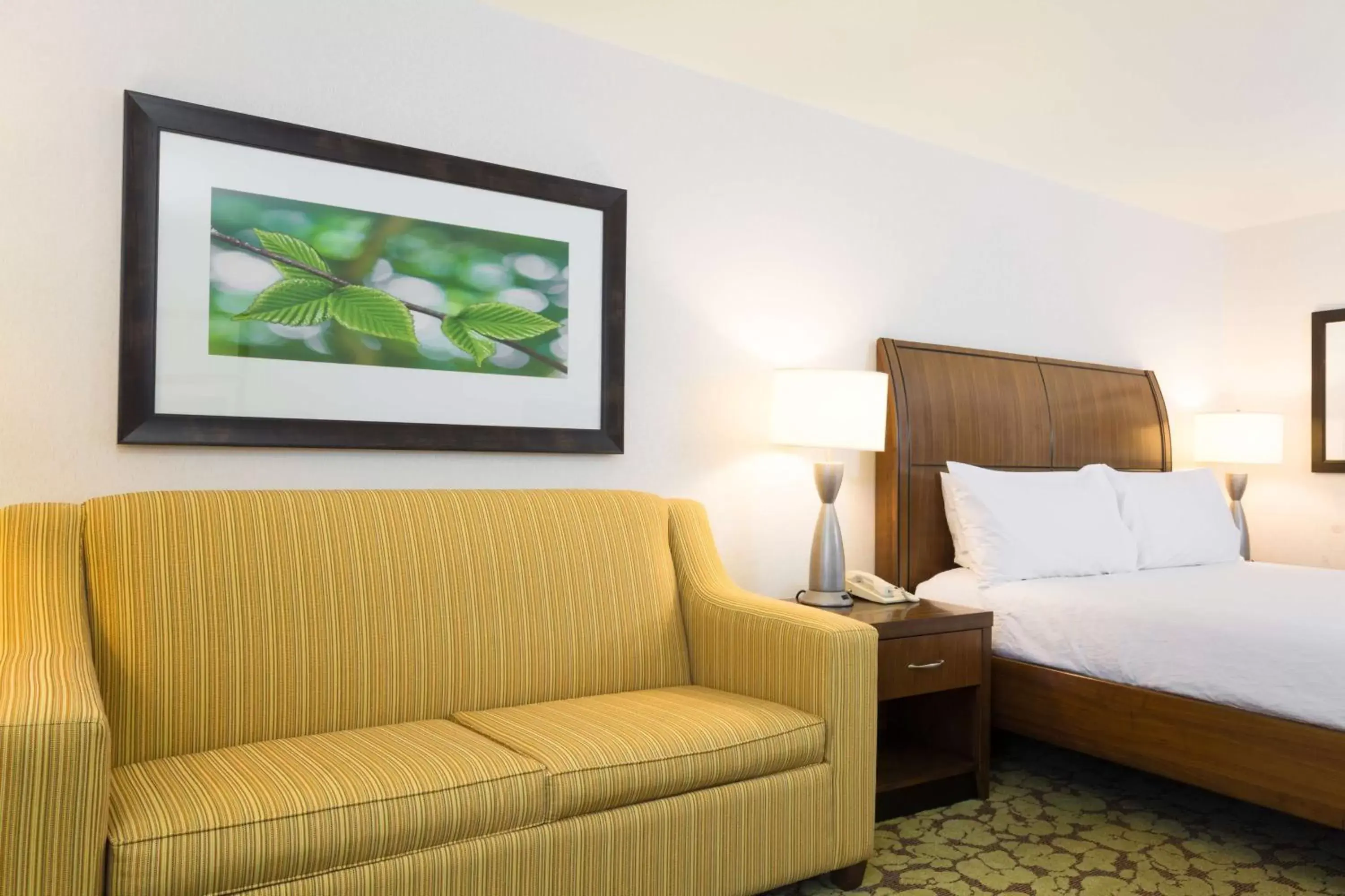 Bed, Seating Area in Hilton Garden Inn Fort Worth/Fossil Creek