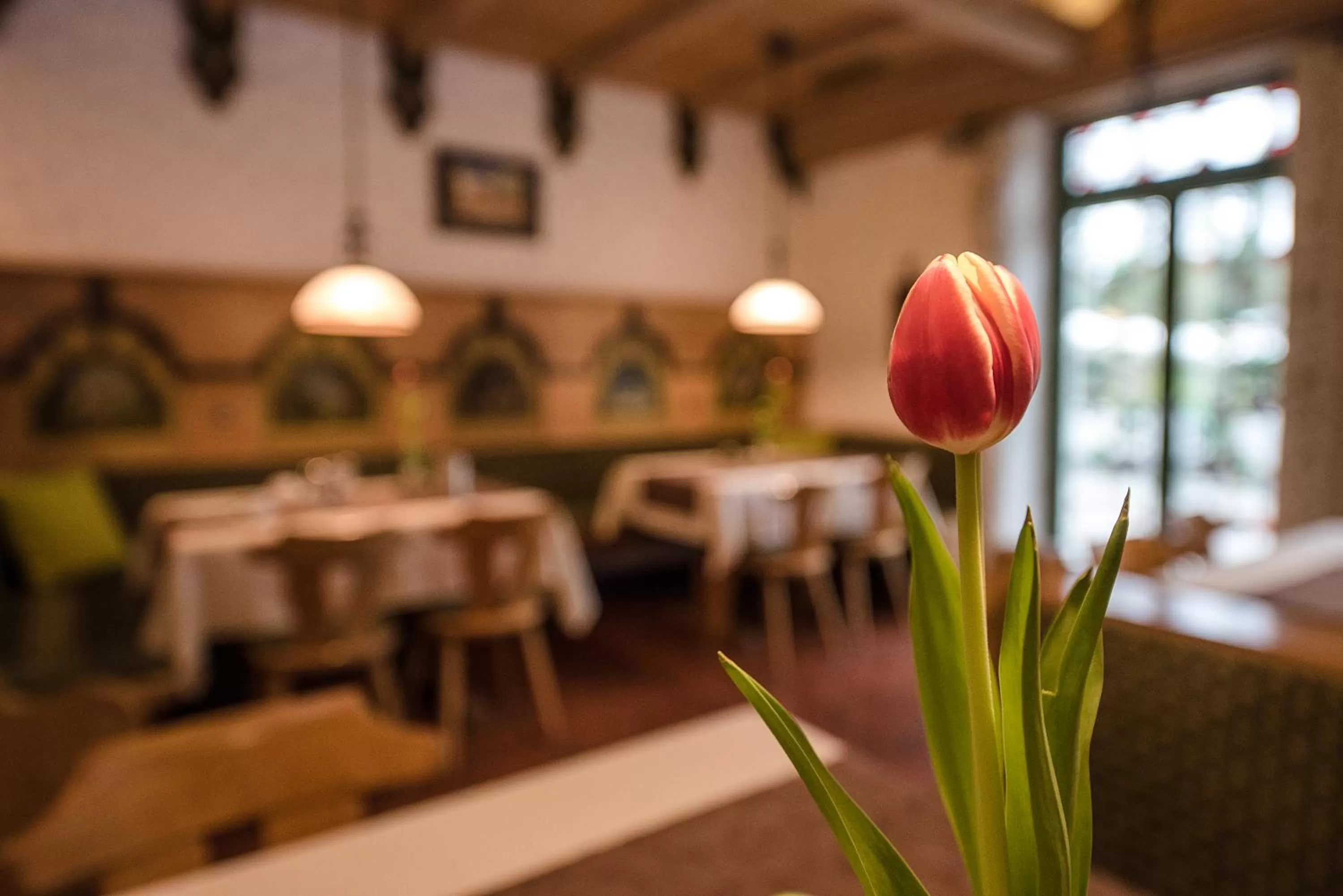 Day in Hotel am Schloss