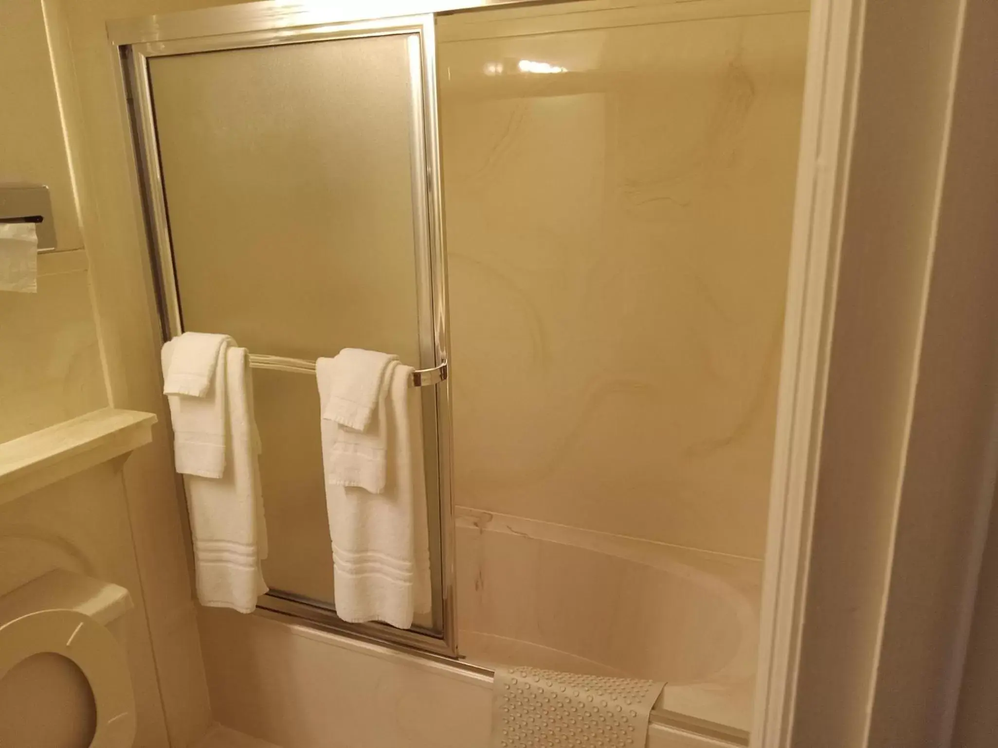 Bathroom in Siesta Motel