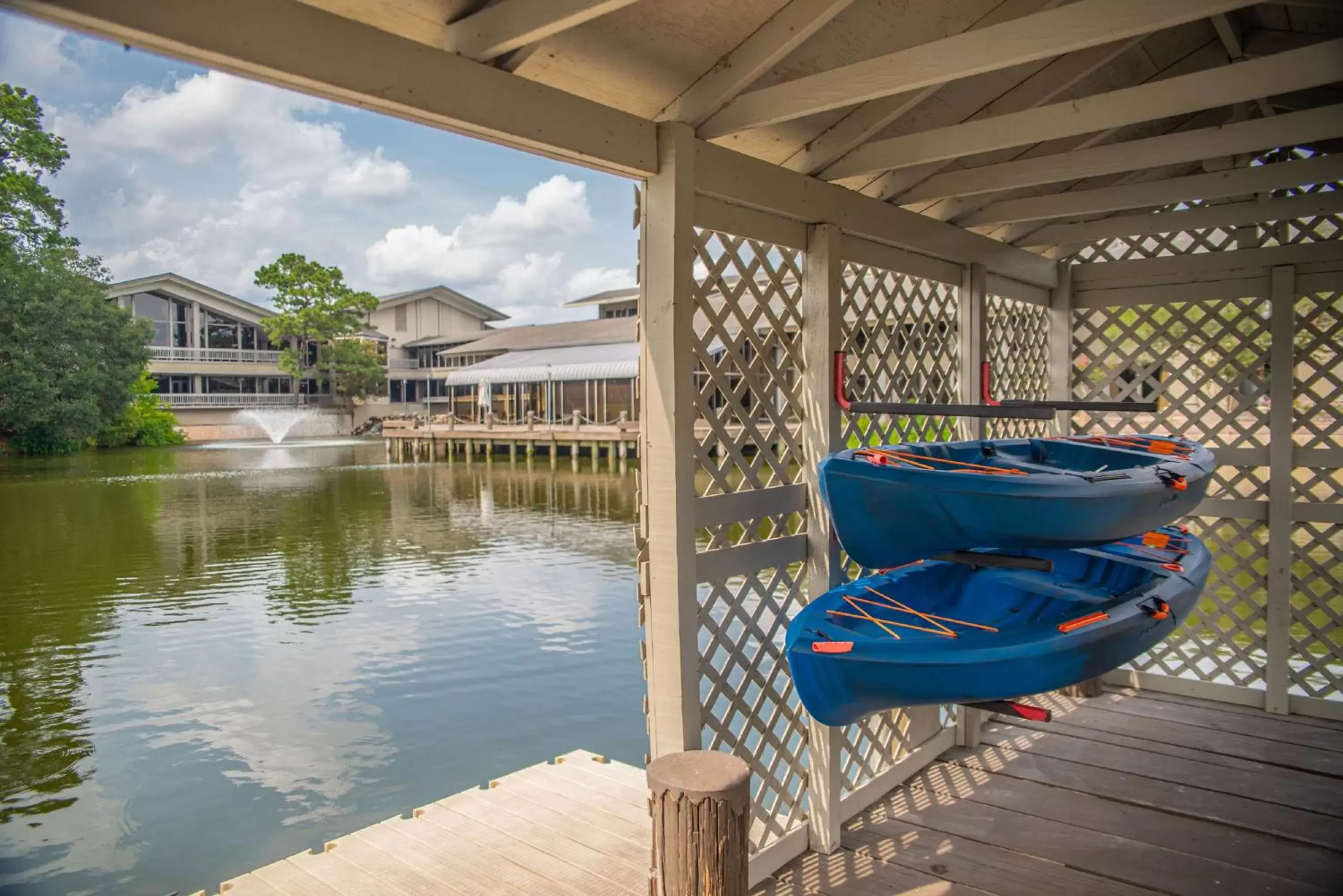 Sports, Swimming Pool in The Woodlands Resort, Curio Collection by Hilton