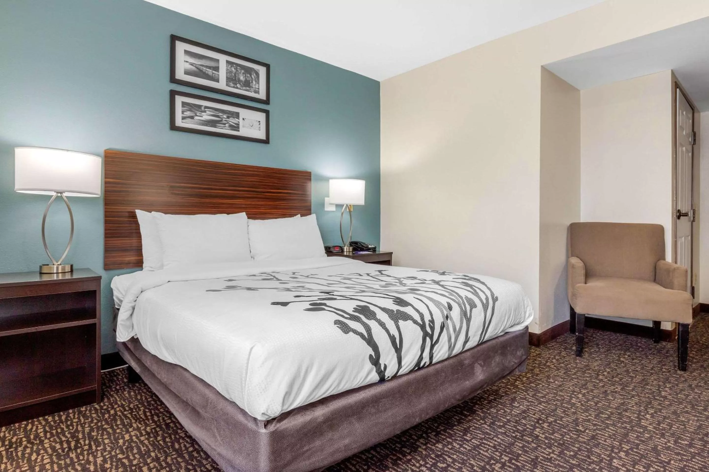 Bedroom, Bed in Sleep Inn & Suites Johnson City