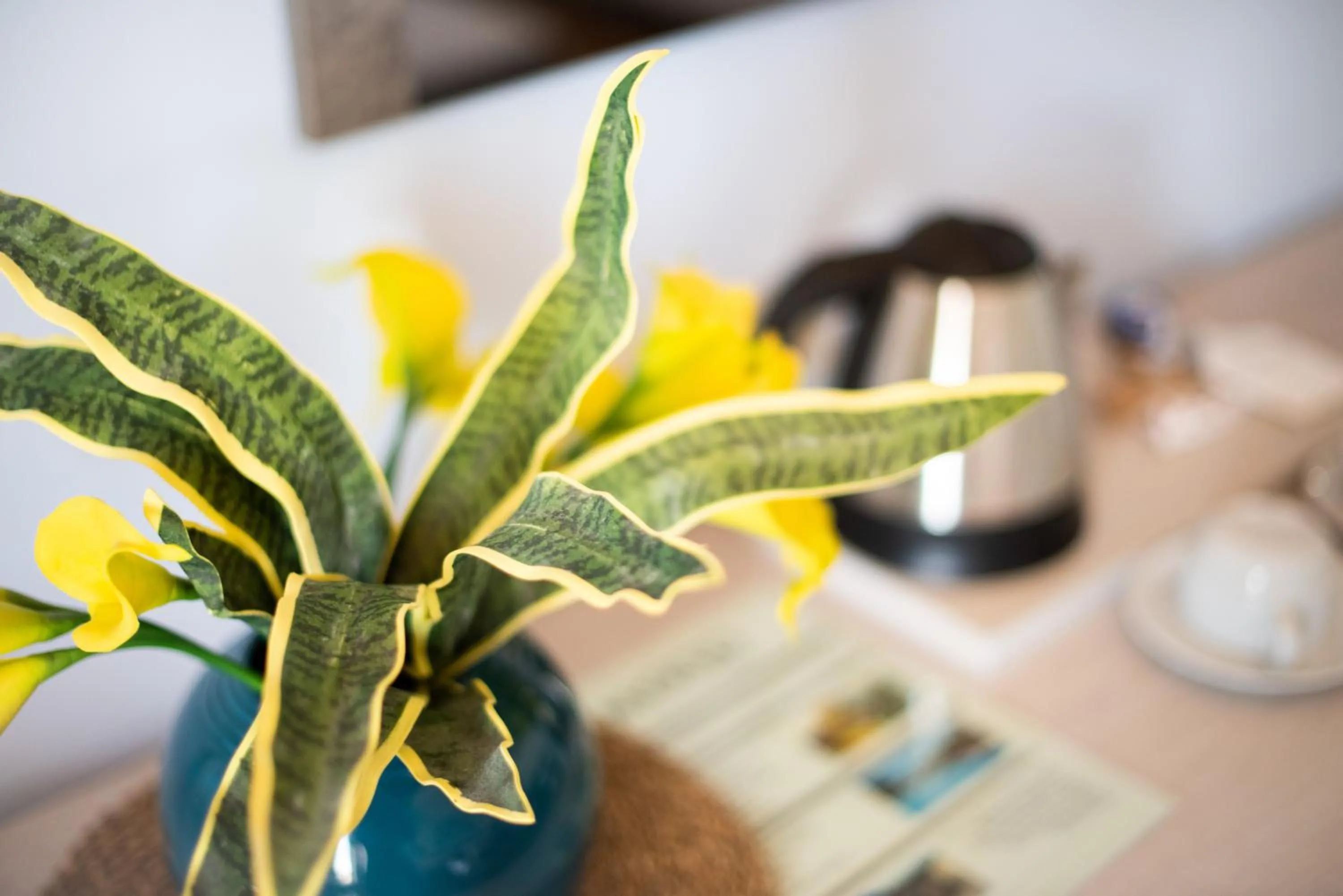 Property building in Myrto Hotel