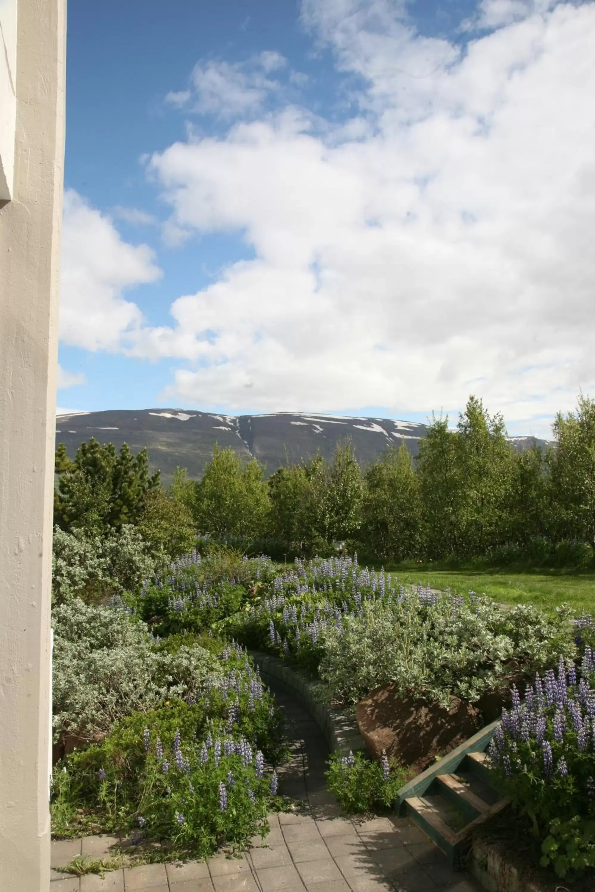 Natural landscape in Hotel Kjarnalundur