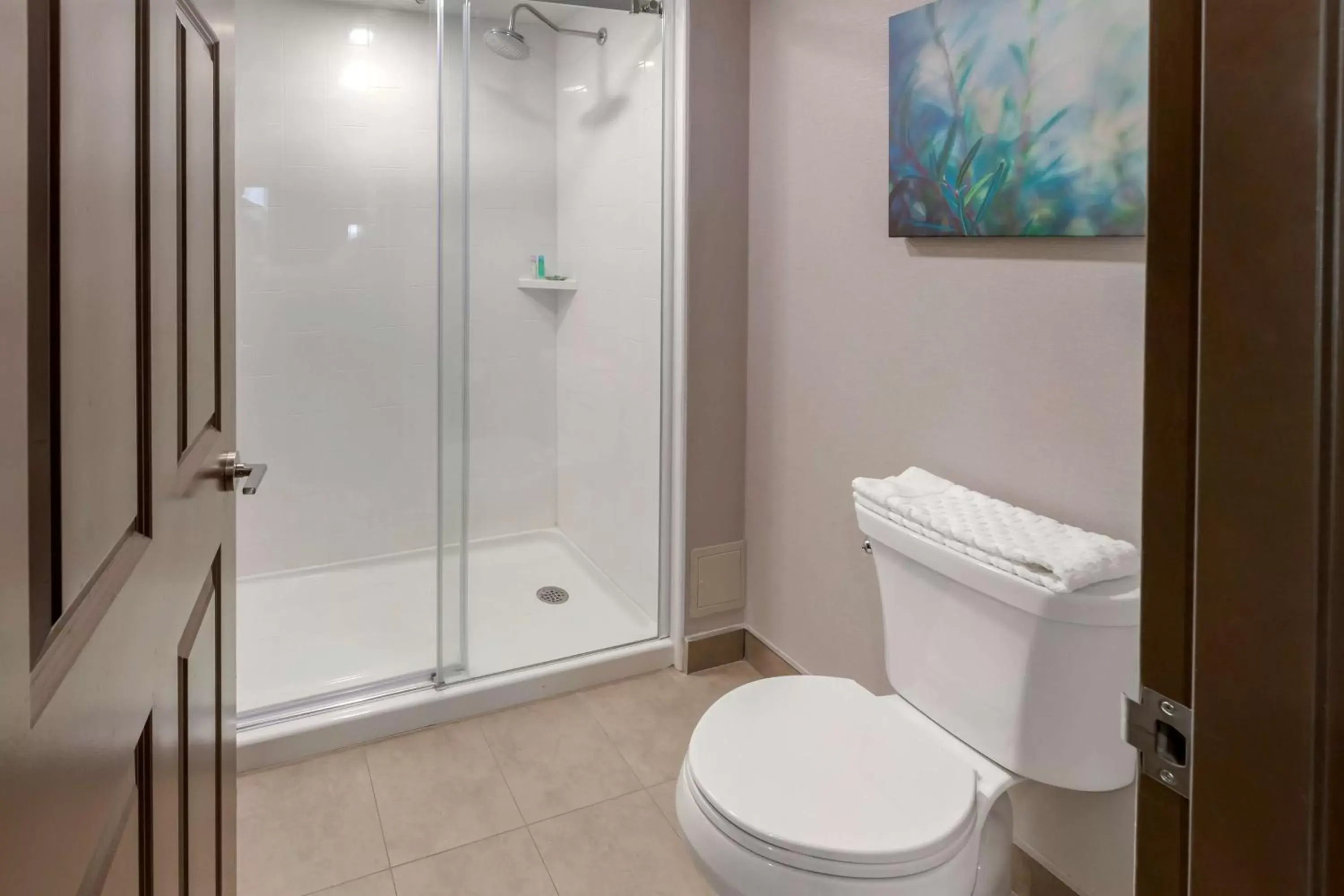 Bathroom in Executive Residency by Best Western Toronto-Mississauga