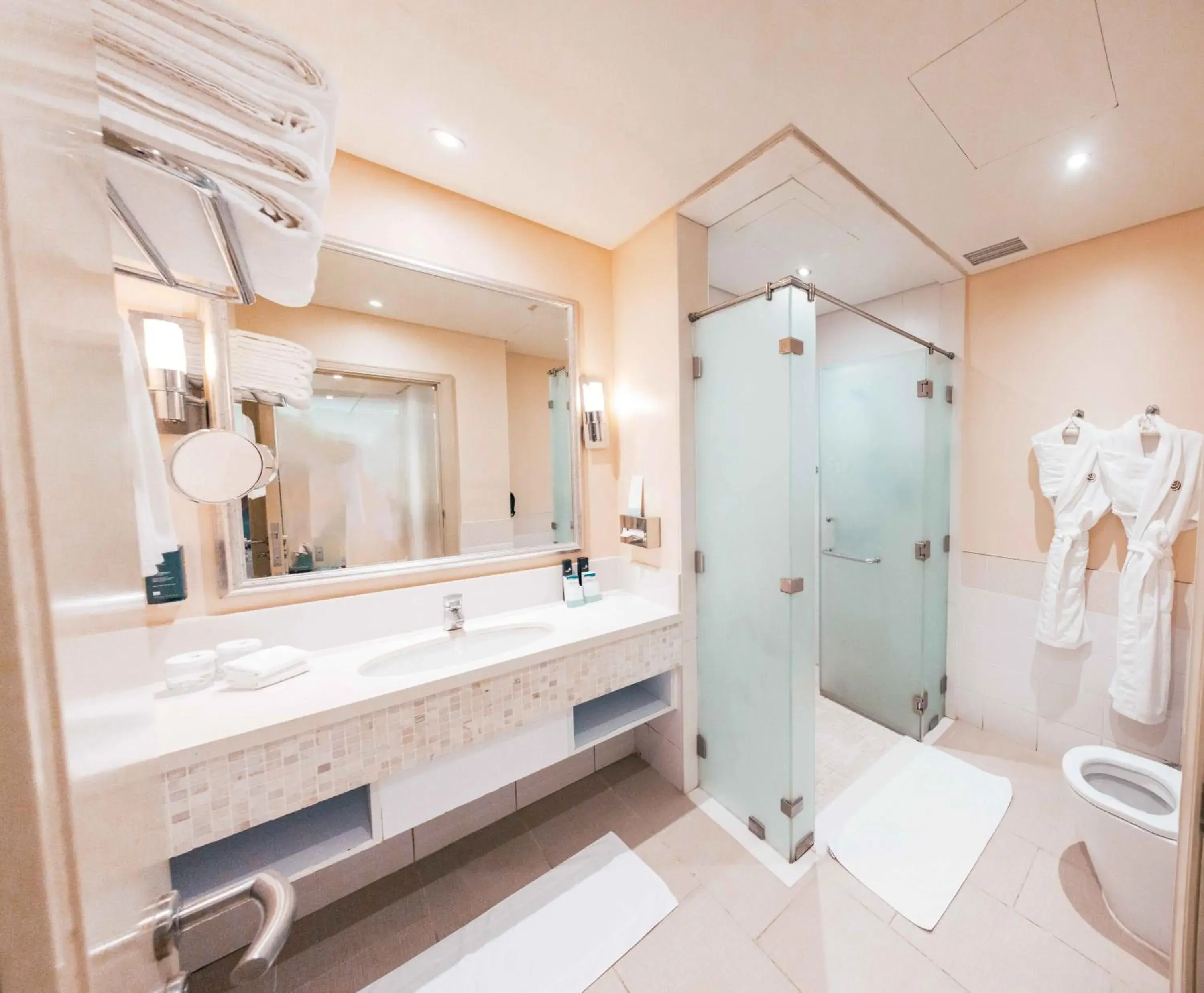 Shower, Bathroom in Salalah Gardens Hotel Managed by Safir Hotels & Resorts
