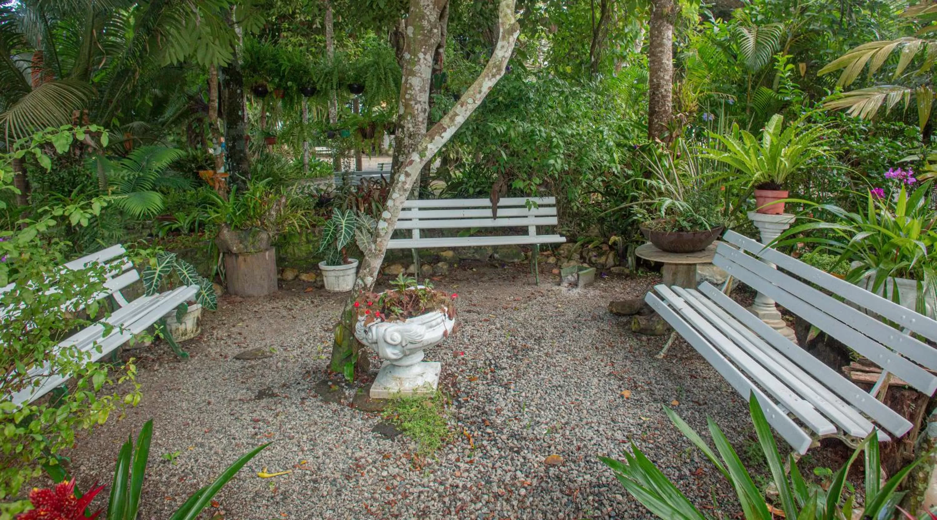 Garden in Hotel Solar do Imperador