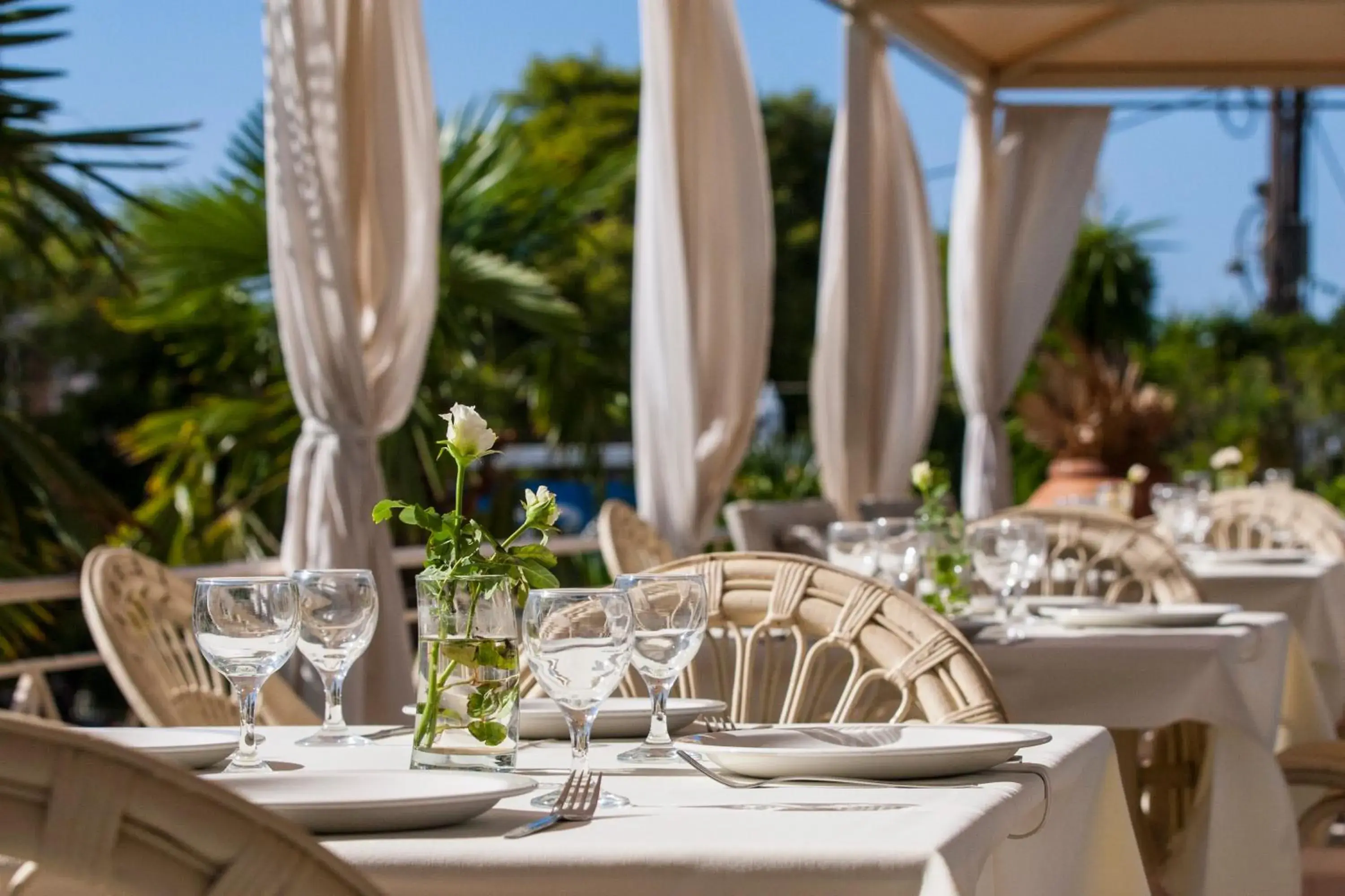 Restaurant/places to eat in Princess Hotel Restaurant/places to eat in Princess Hotel