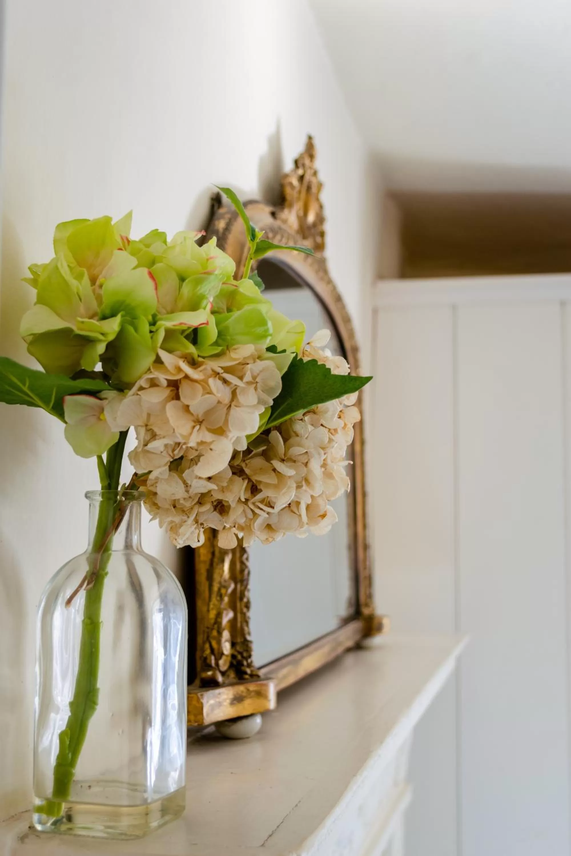 Other in The House with Two Front Doors