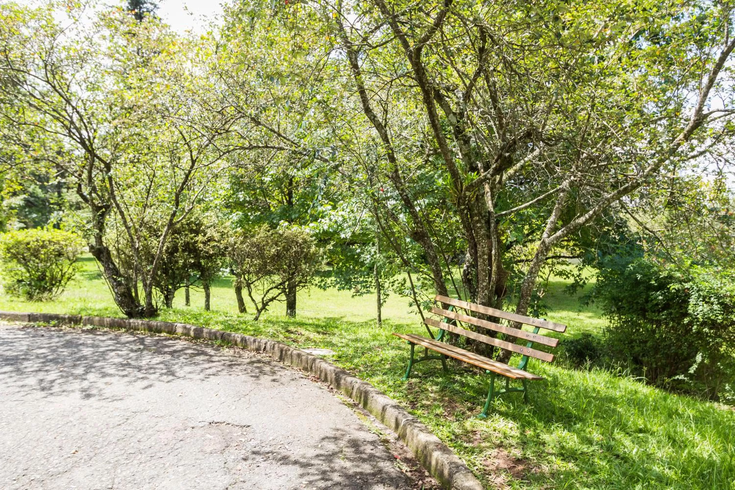 Garden in Pousada Betânia