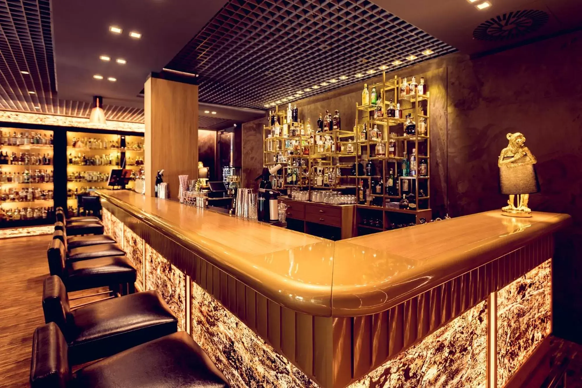 Lounge or bar, Lounge/Bar in City Park Hotel & Residence