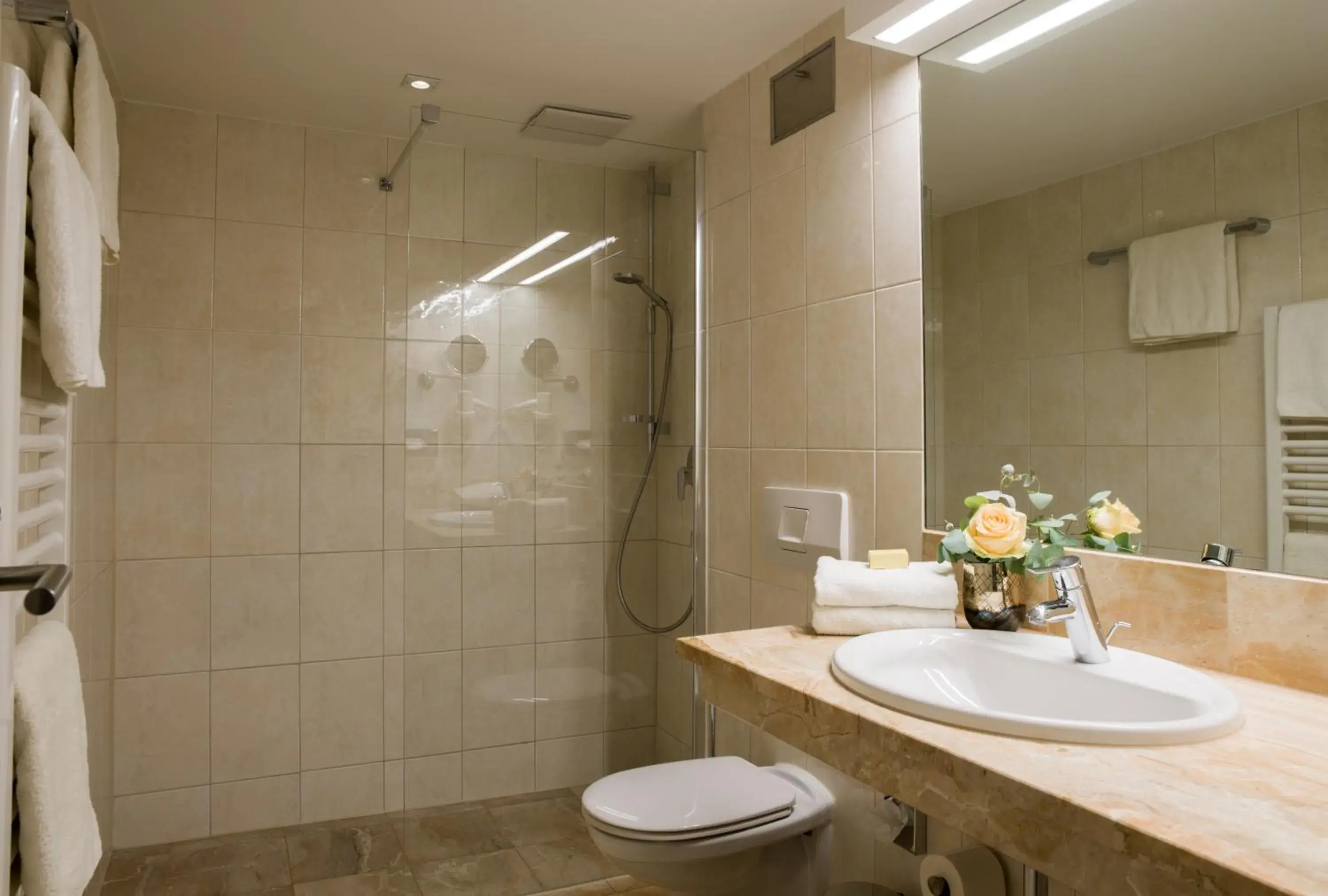 Shower, Bathroom in Hotel König