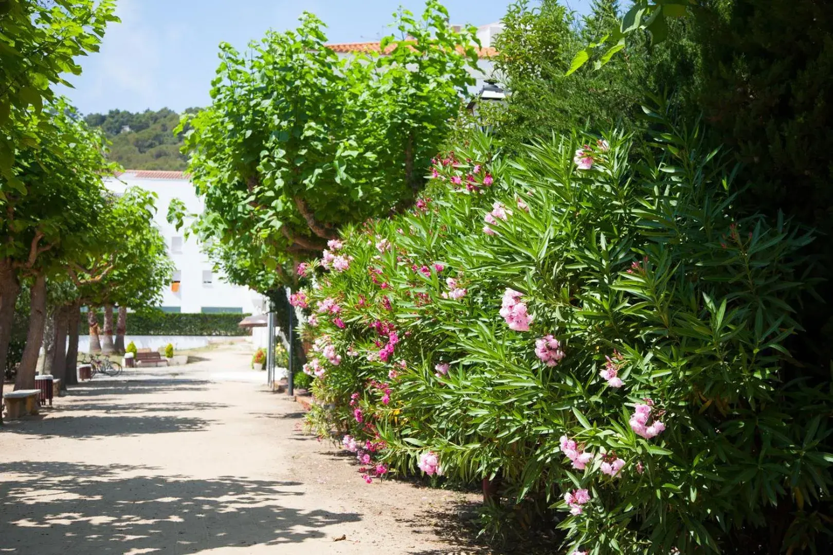 Patio in Marina Tossa