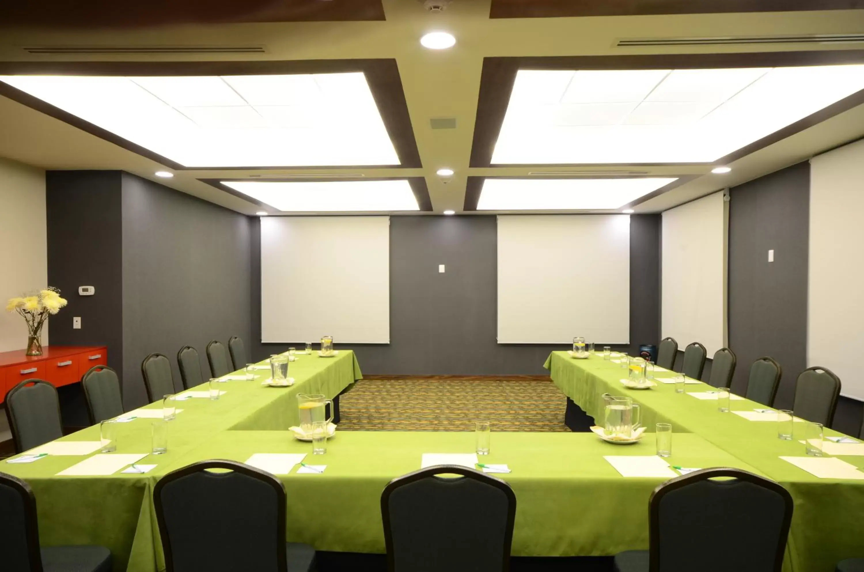Meeting/conference room in Holiday Inn Tampico-Altamira, an IHG Hotel
