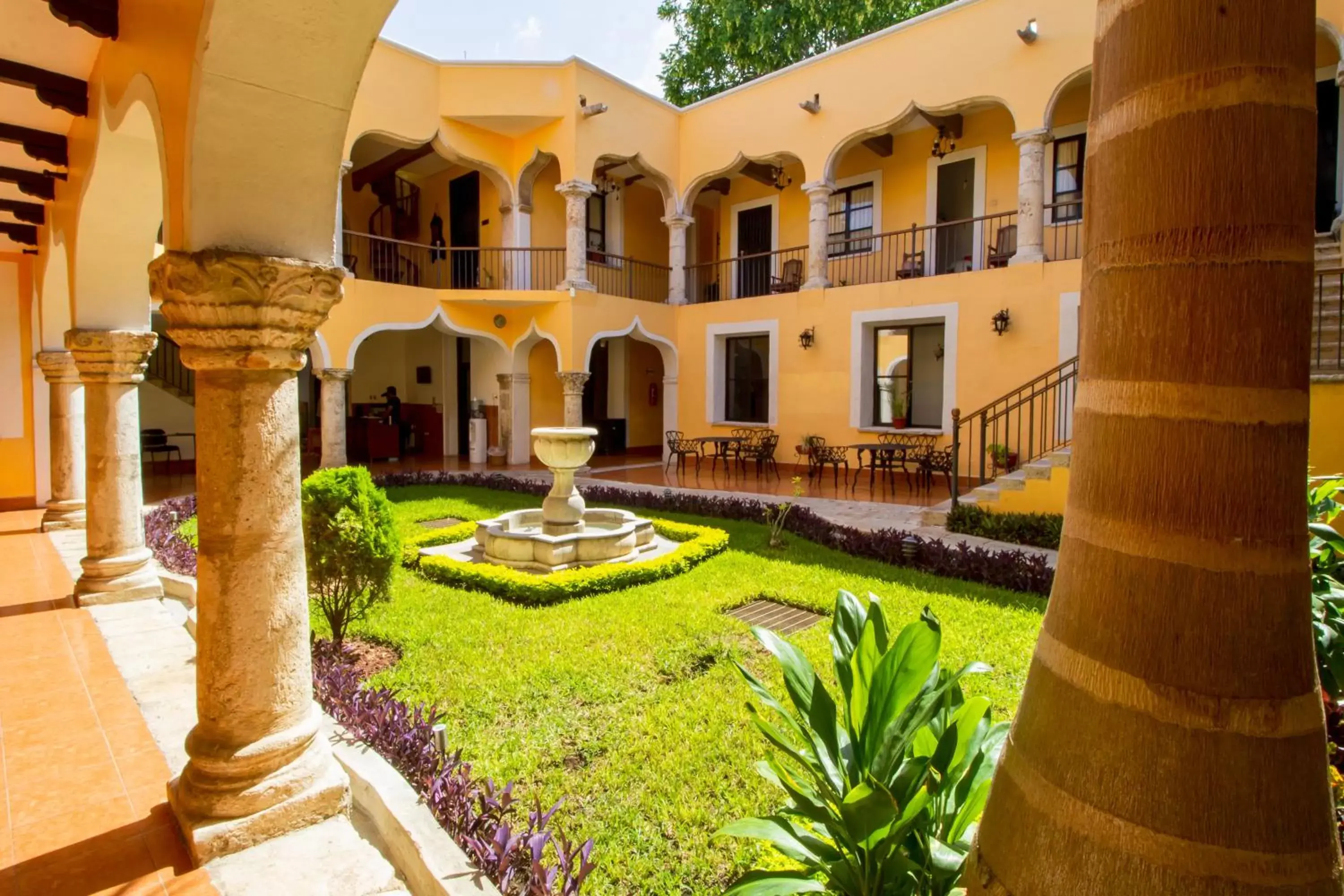 Garden, Property Building in Hotel Montejo