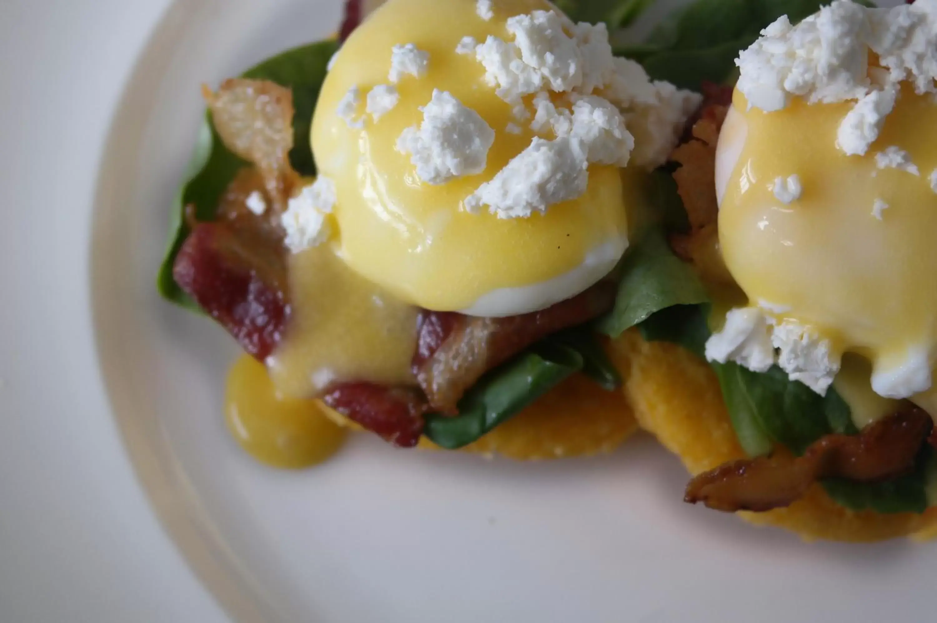 Food close-up, Food in American Trade Hotel