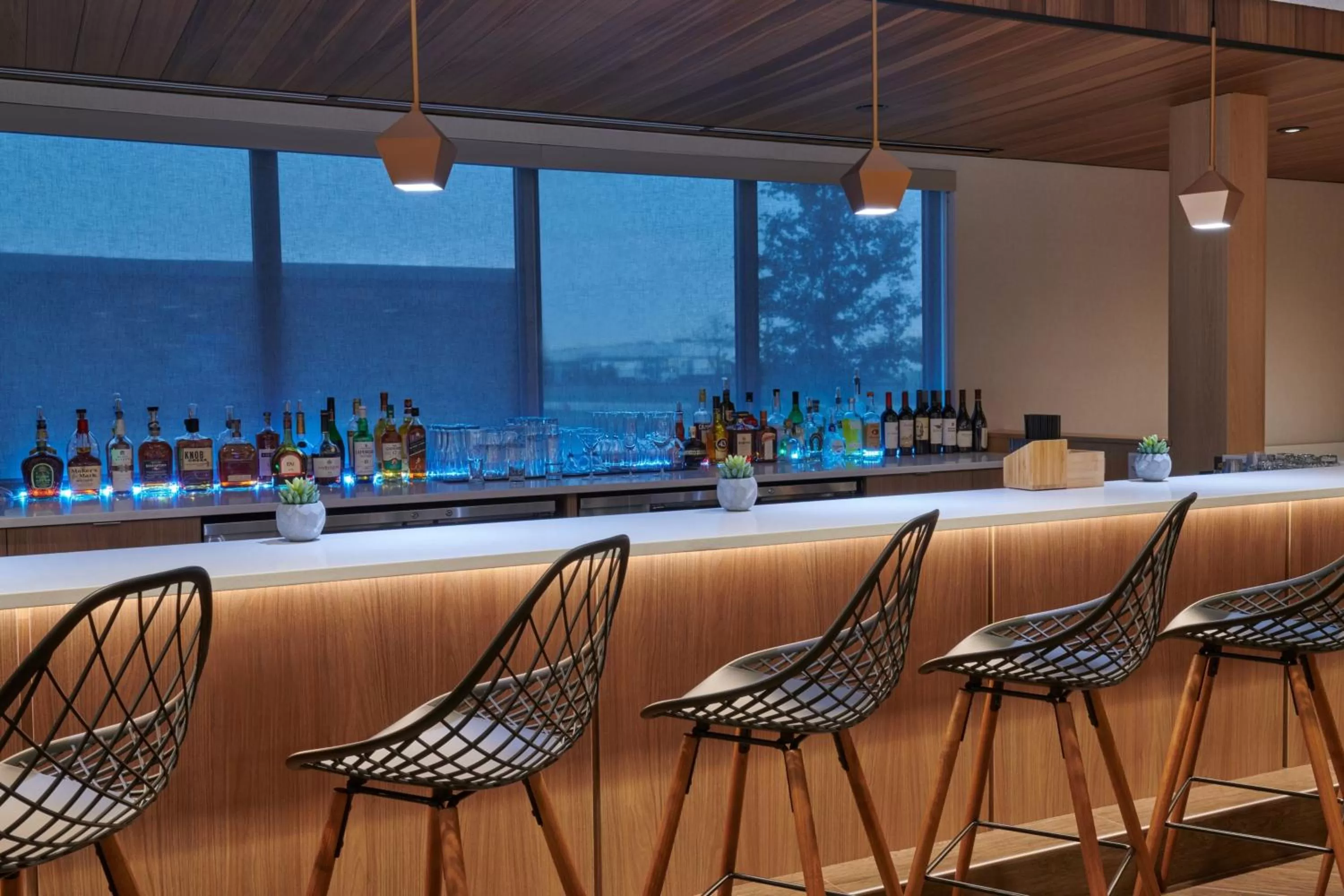 Lounge or bar in Fairfield Inn & Suites by Marriott Chicago O'Hare