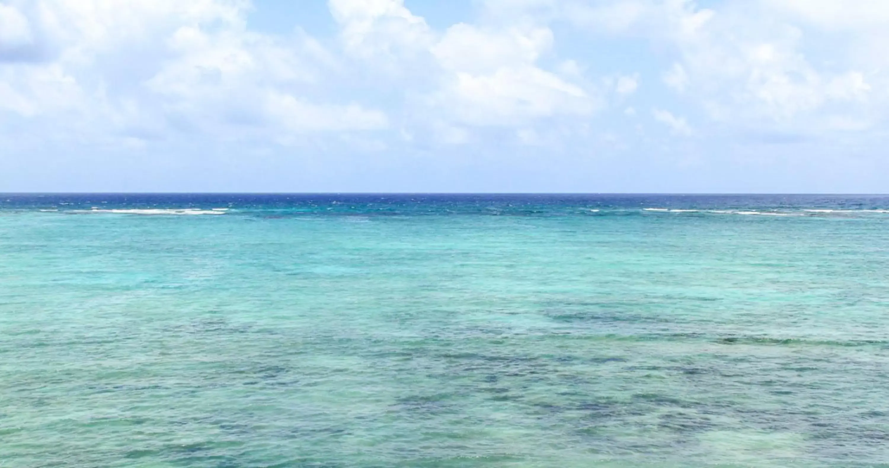 Natural Landscape in Cielo Maya Beach Tulum