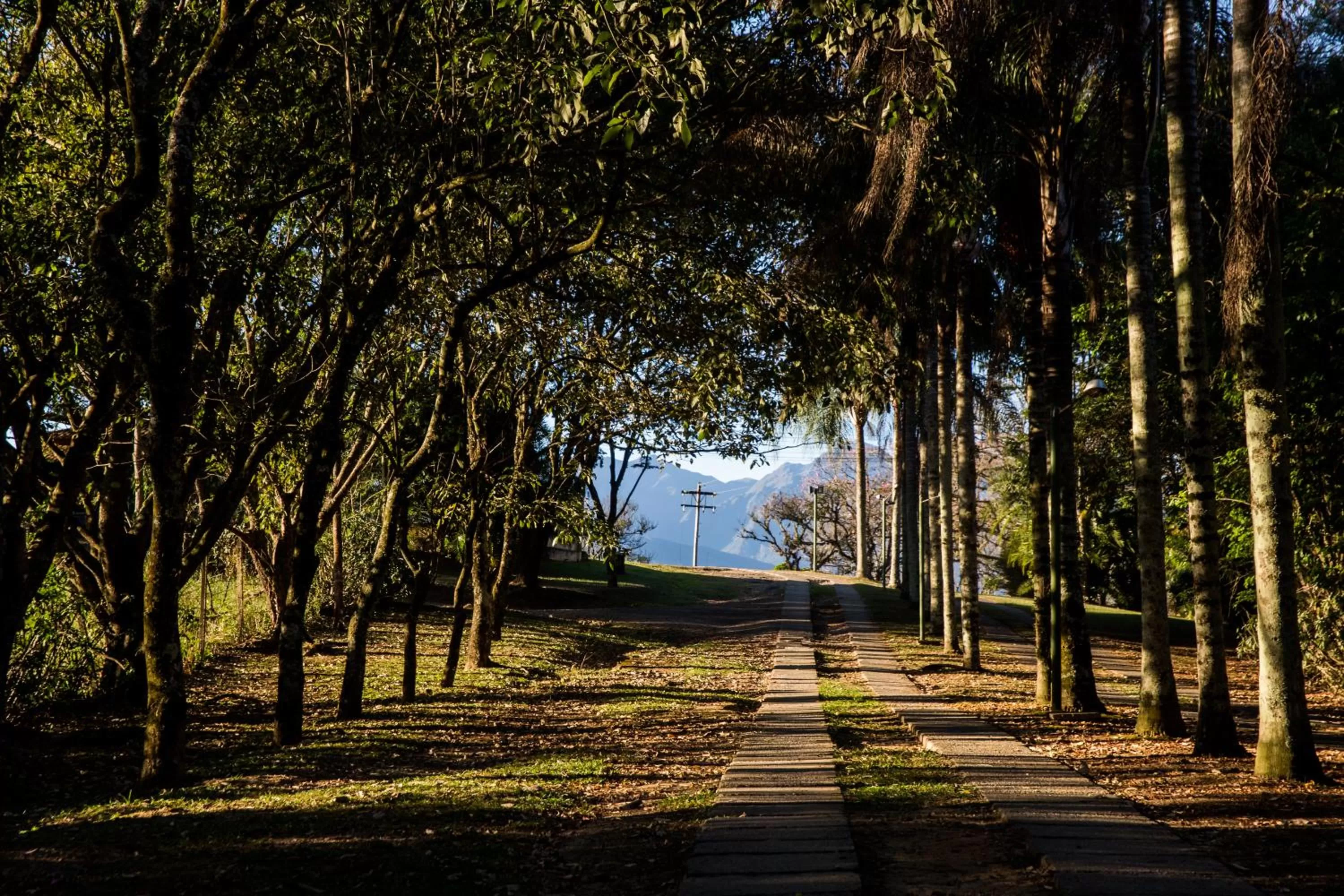 Facade/entrance in Pousada Flor da Serra