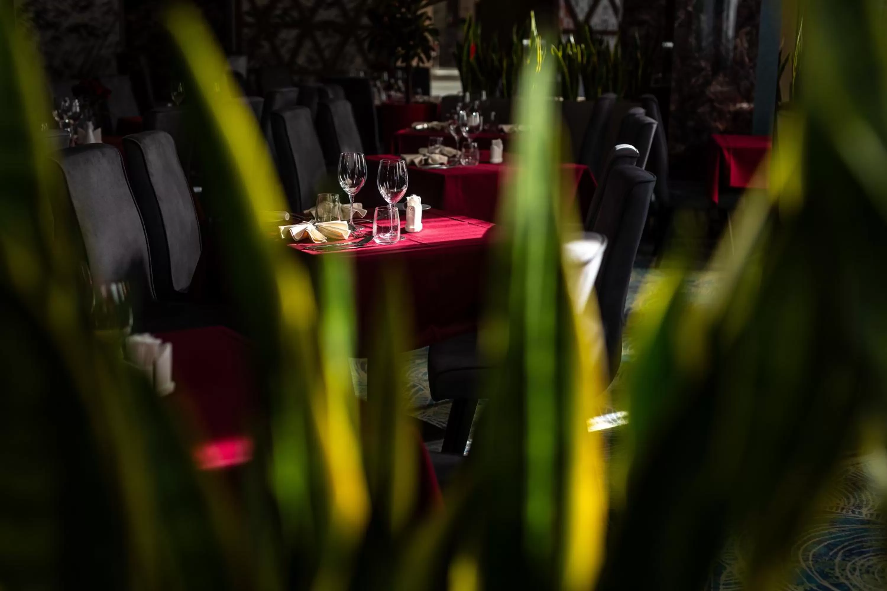 Restaurant/places to eat in HOTEL CRYSTAL WELLNESS & SPA superior