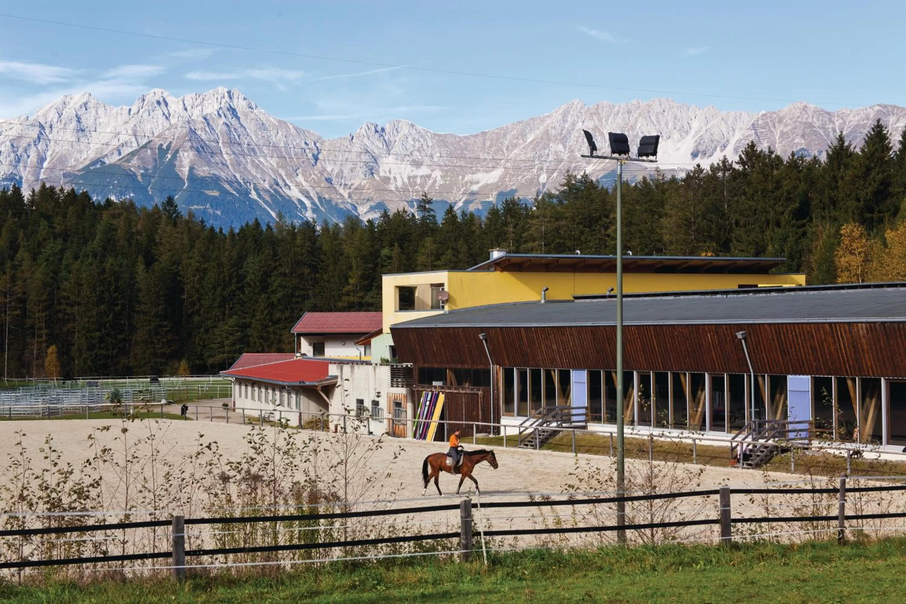 Horse-riding in Hotel Garni Römerhof