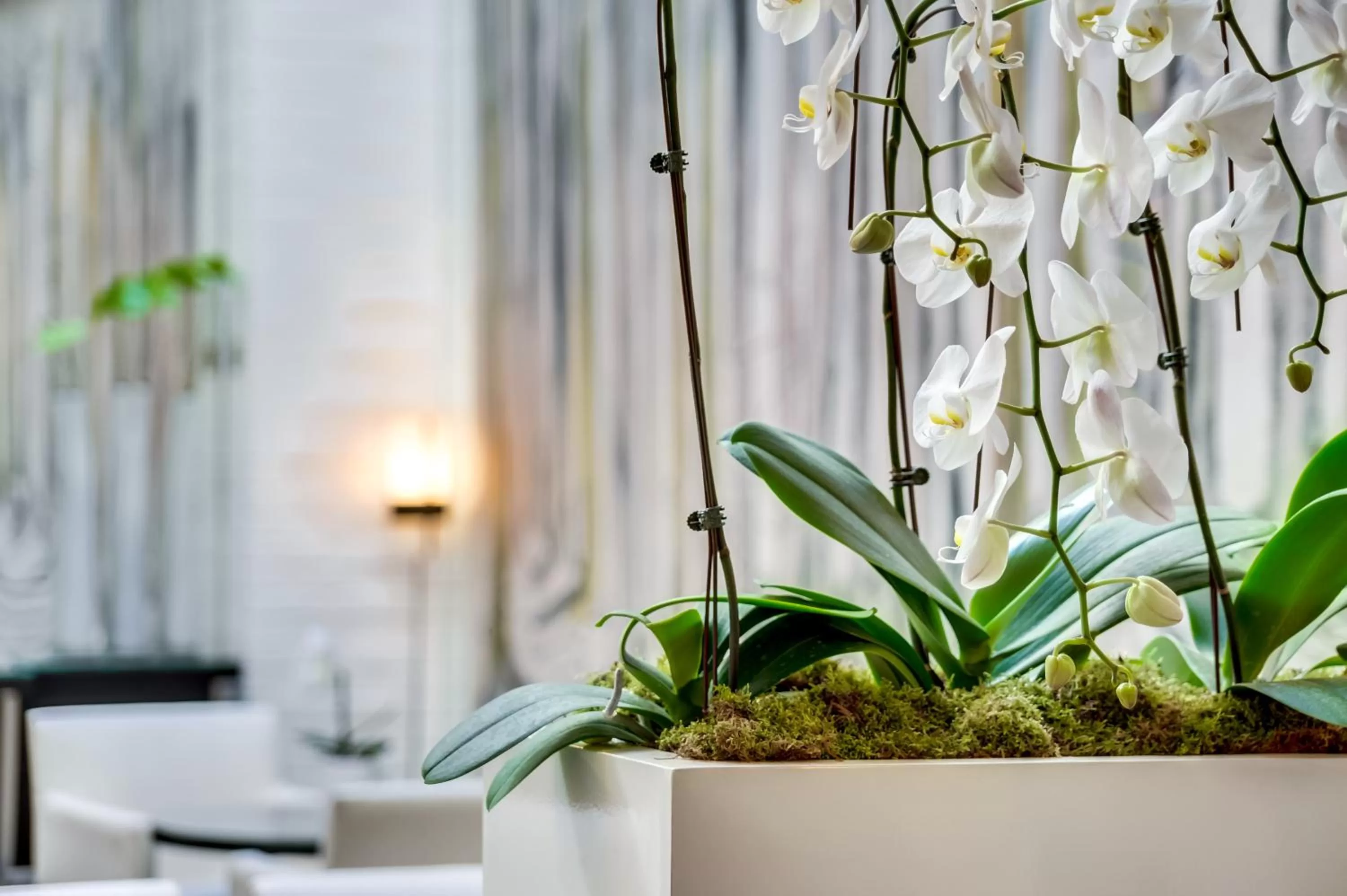 Decorative detail in Le A