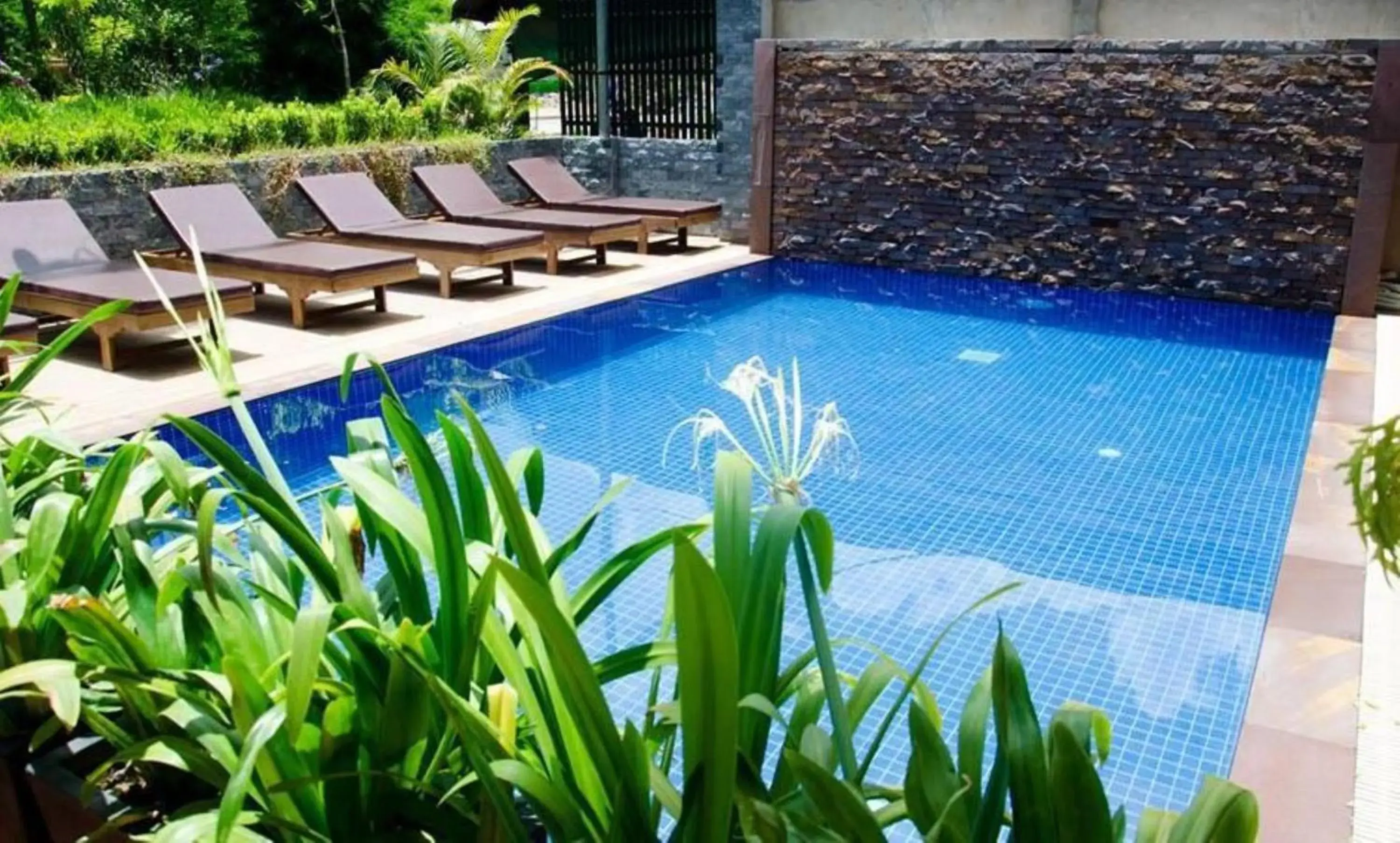 Pool view, Swimming Pool in Jasmine Lodge Siem Reap