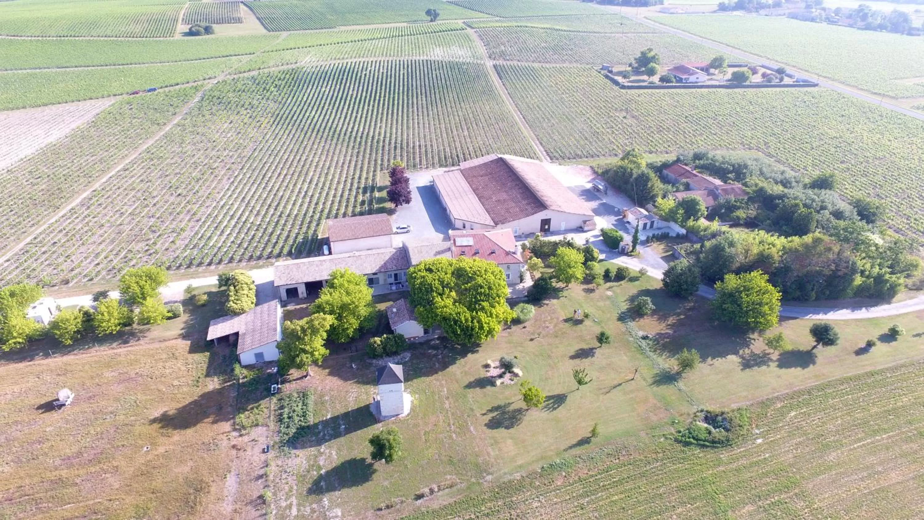 Bird's eye view in Chambres d'Hôtes Château Pierre de Montignac