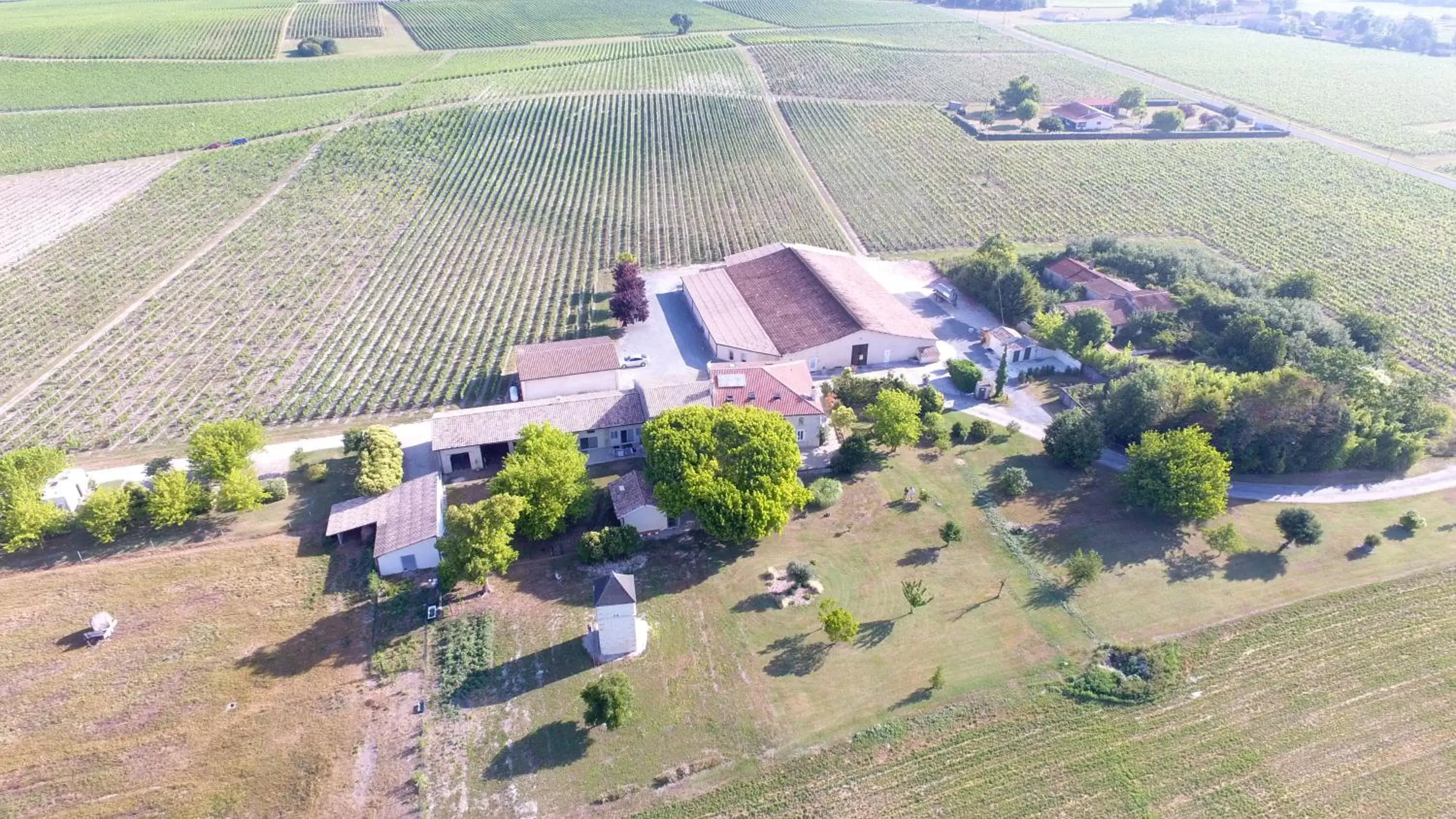 Bird's-eye View in Chambres d'Hôtes Château Pierre de Montignac