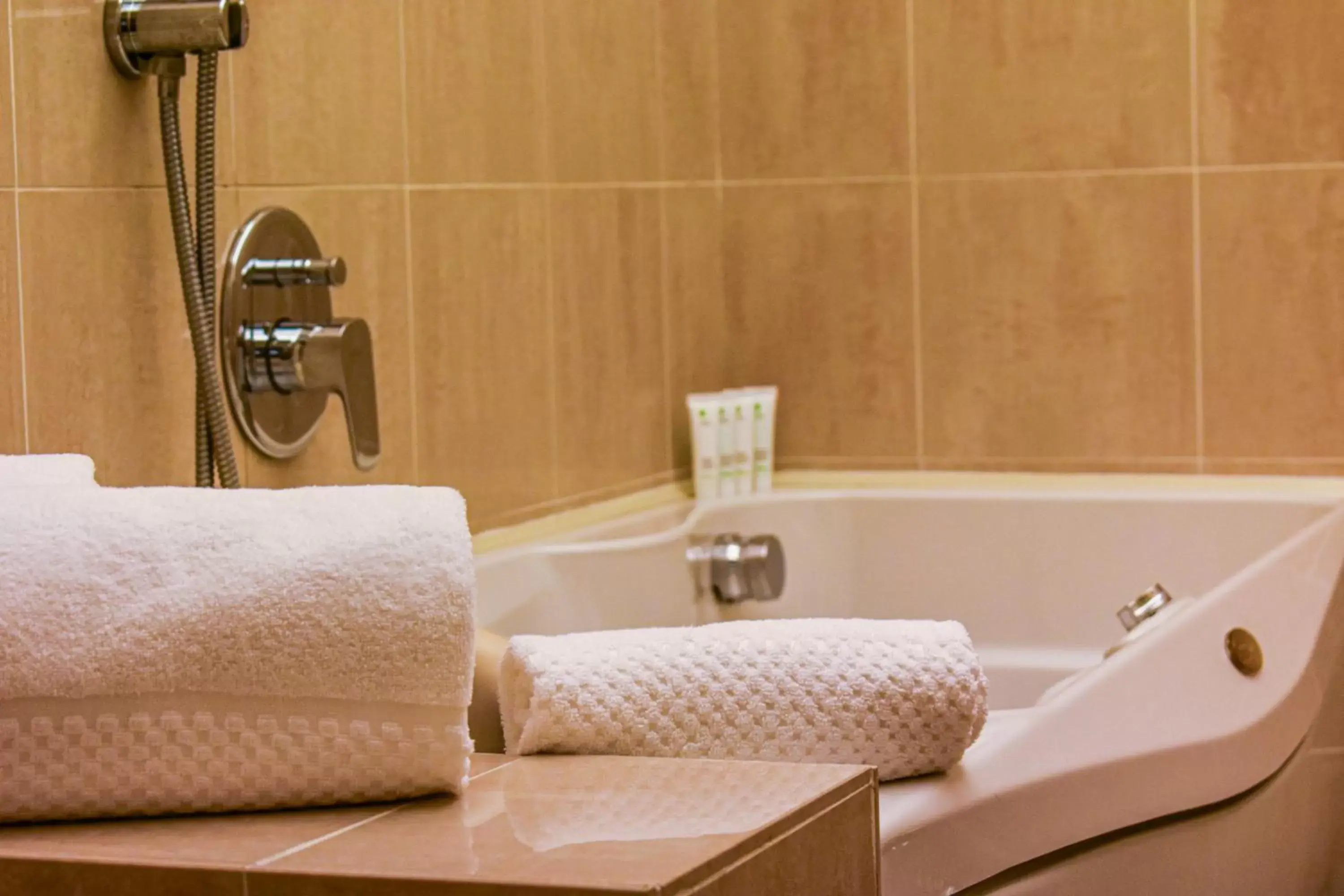 Bathroom in Palazzo Porta Romana Hotel