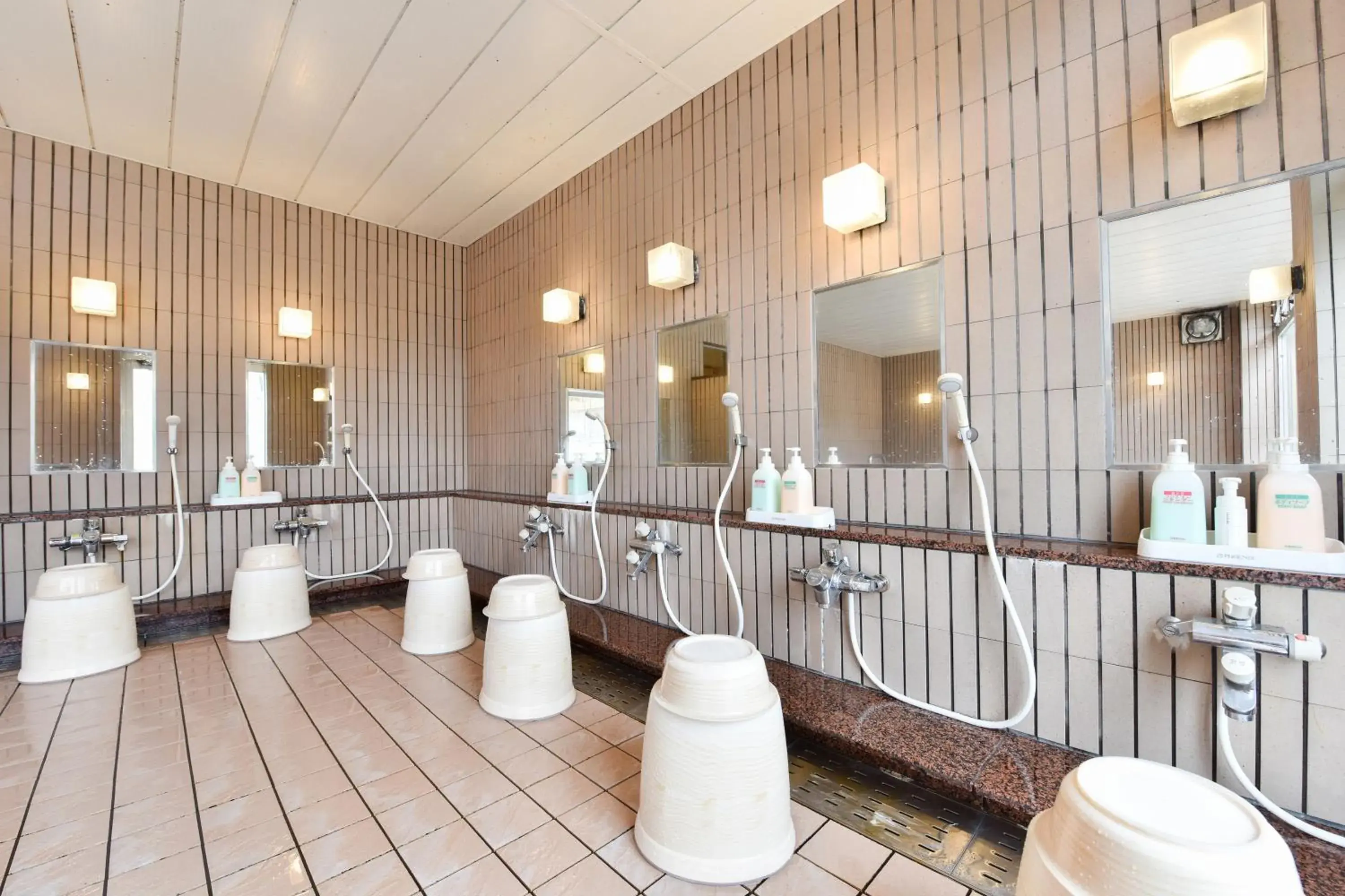 Public Bath, Bathroom in Fujiya Ryokan