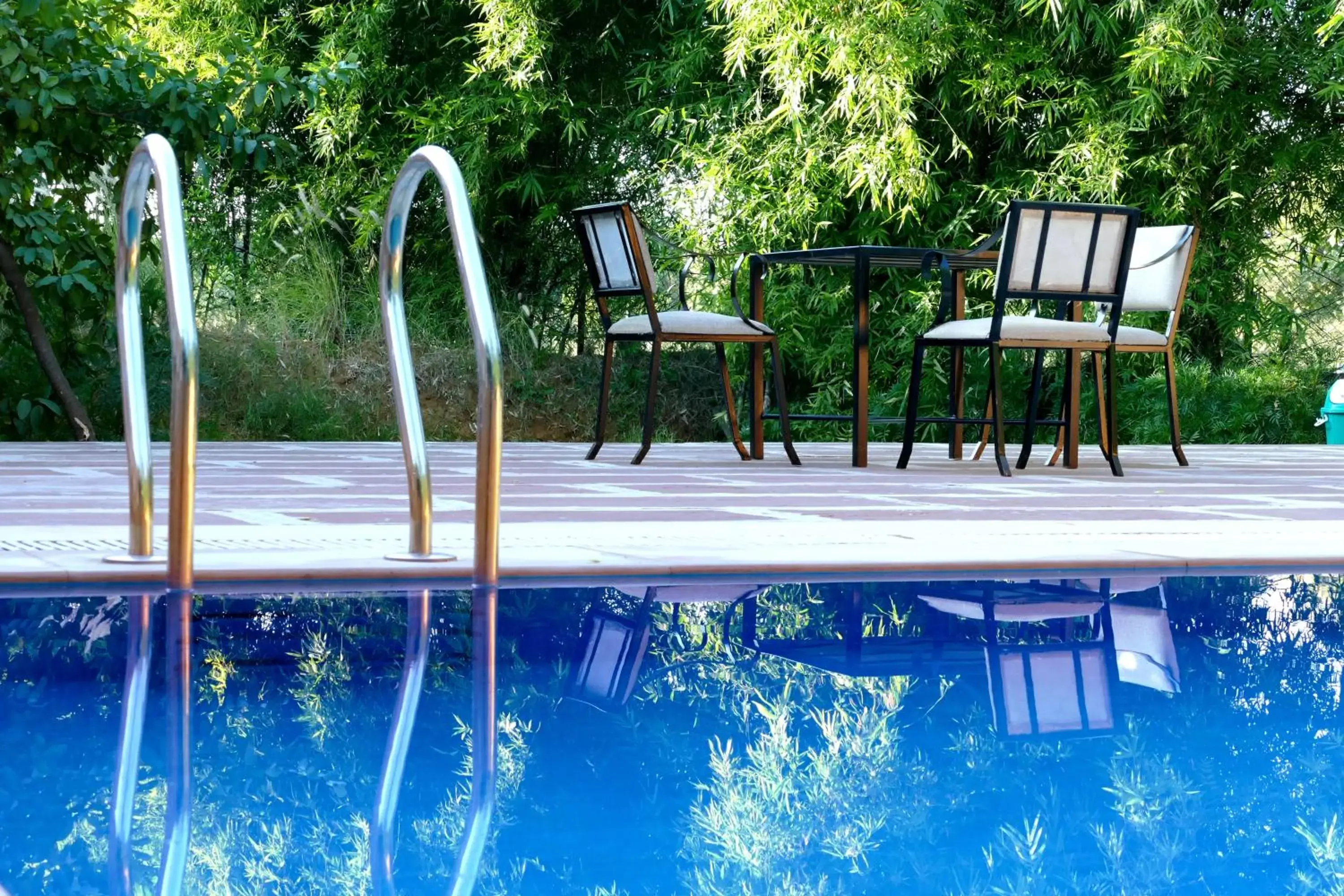 Swimming pool in Madho Bagh Swimming pool in Madho Bagh