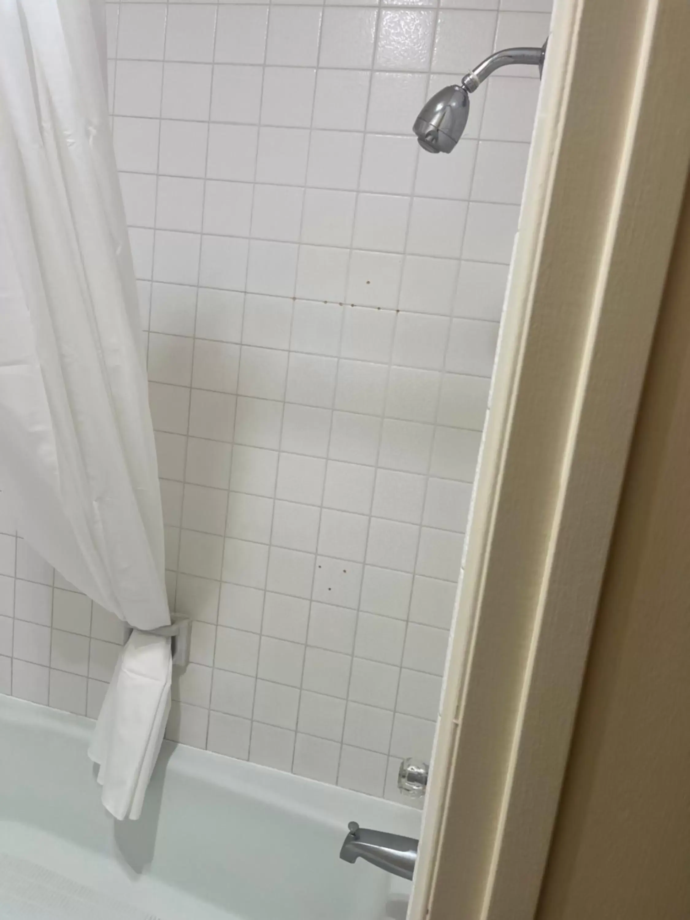 Shower, Bathroom in Western Inn Lakewood