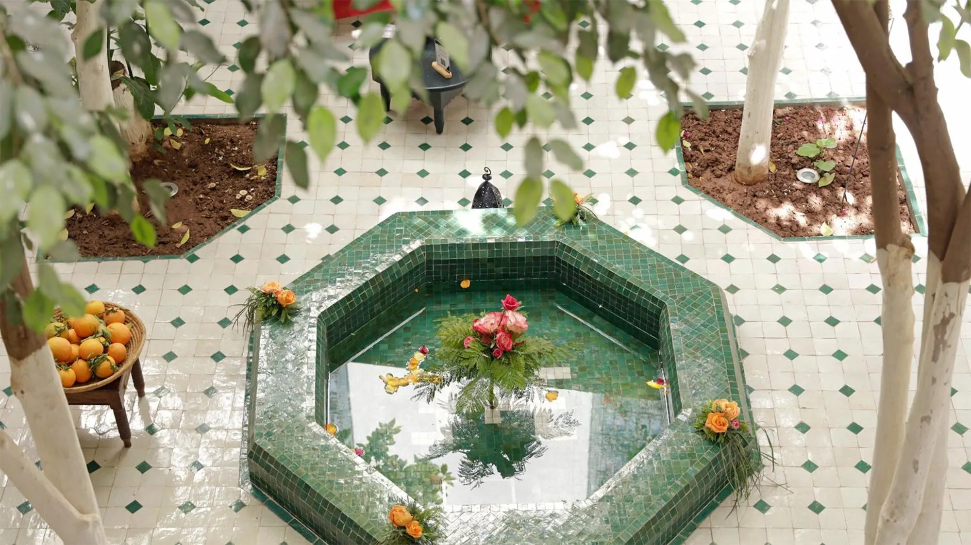 Garden view in Hotel & Spa Dar Sara