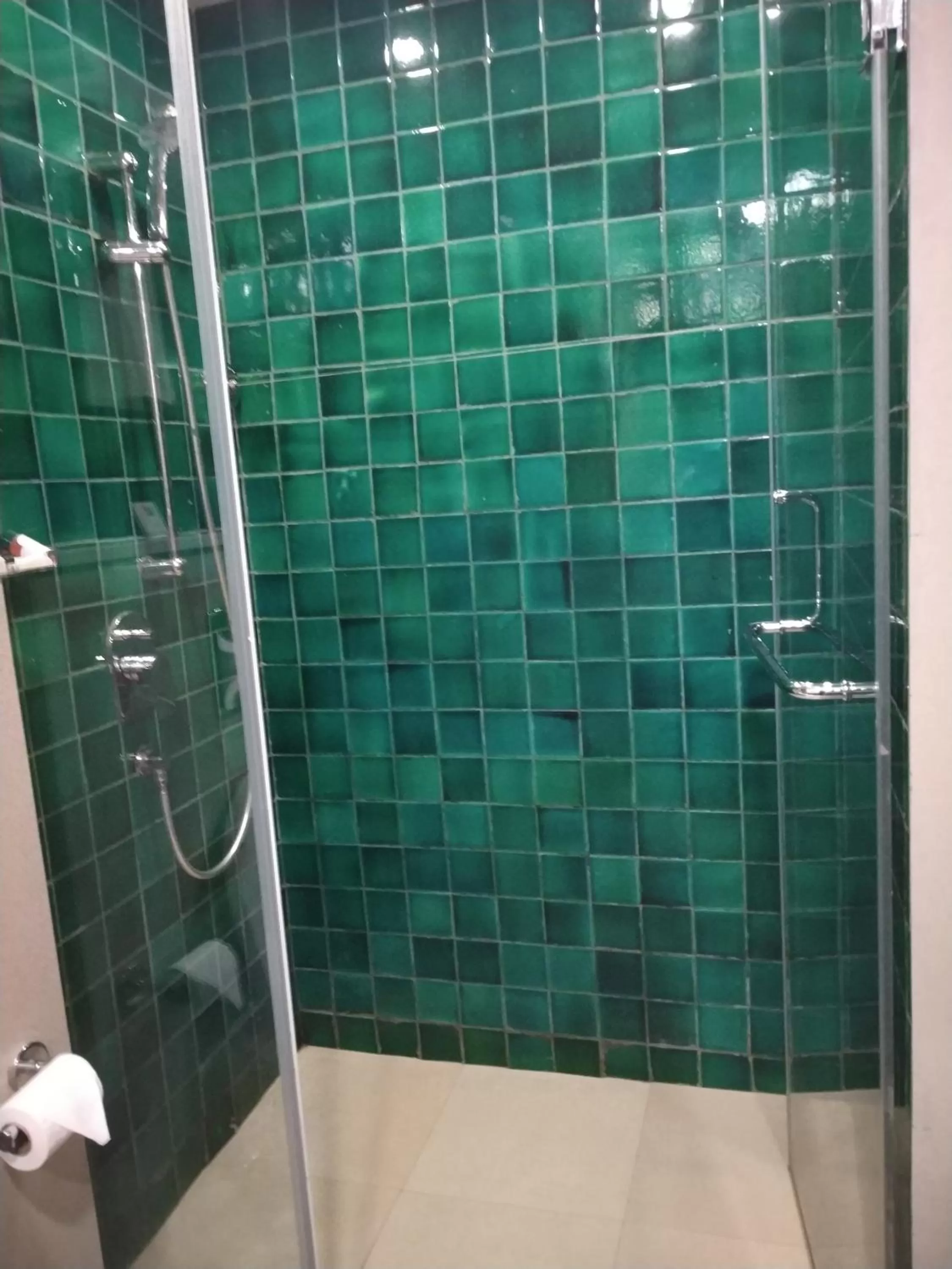 Bathroom in ibis Styles Goa Calangute - An Accor Brand