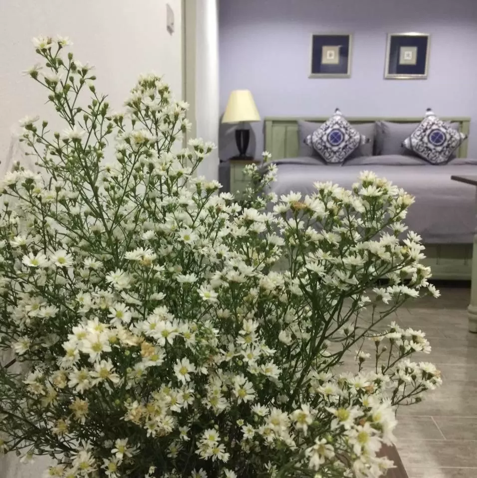 Bed in BC Summer Beach