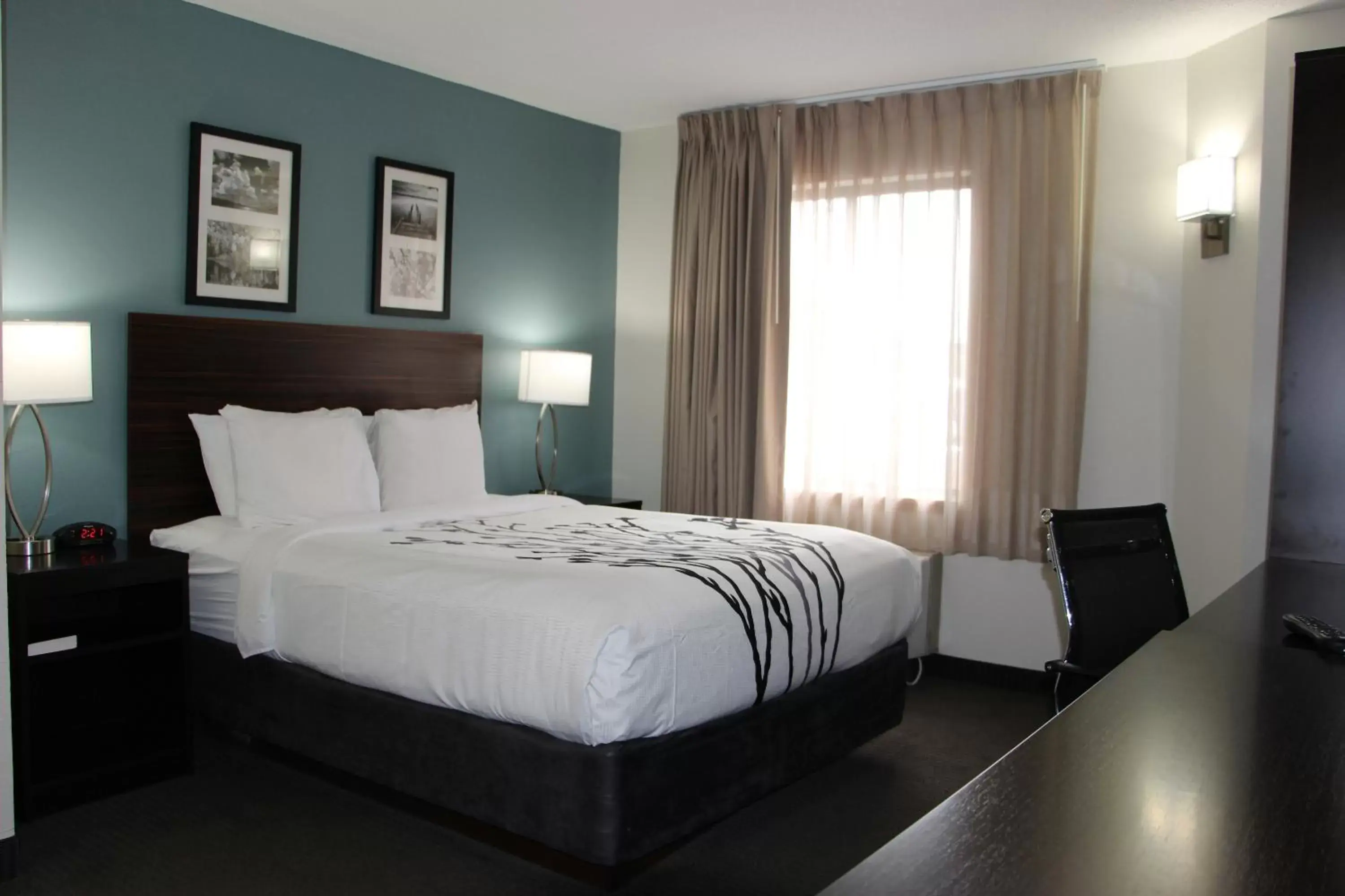 Queen Room - Accessible/Non-Smoking in Sleep Inn Chattanooga - Hamilton Place