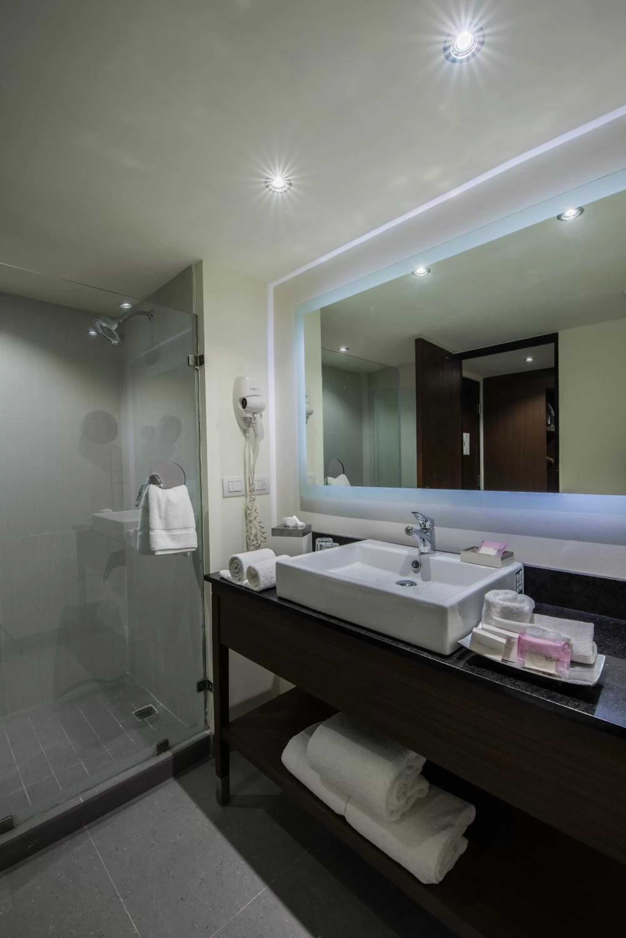 Bathroom in Holiday Inn Guadalajara Expo Plaza del Sol by IHG