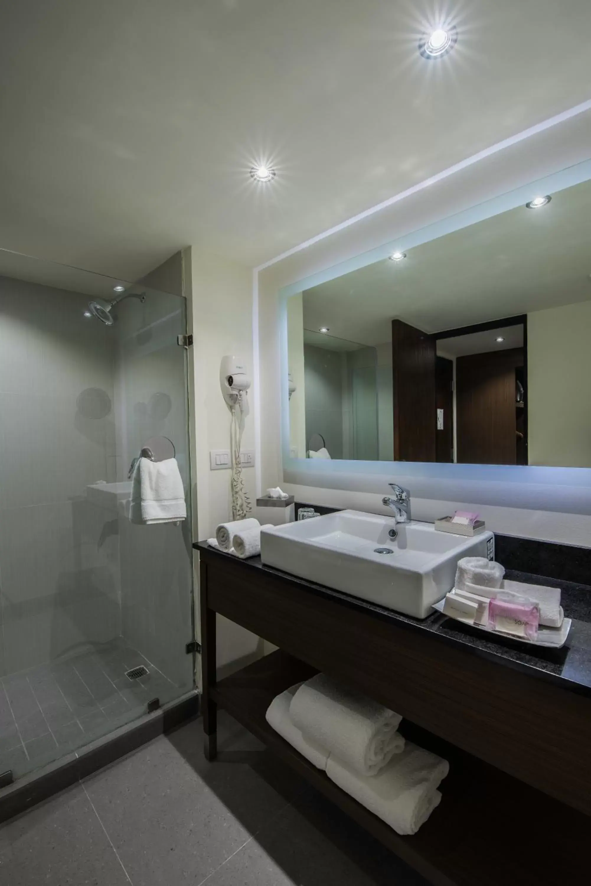 Bathroom in Holiday Inn Guadalajara Expo Plaza del Sol, an IHG Hotel